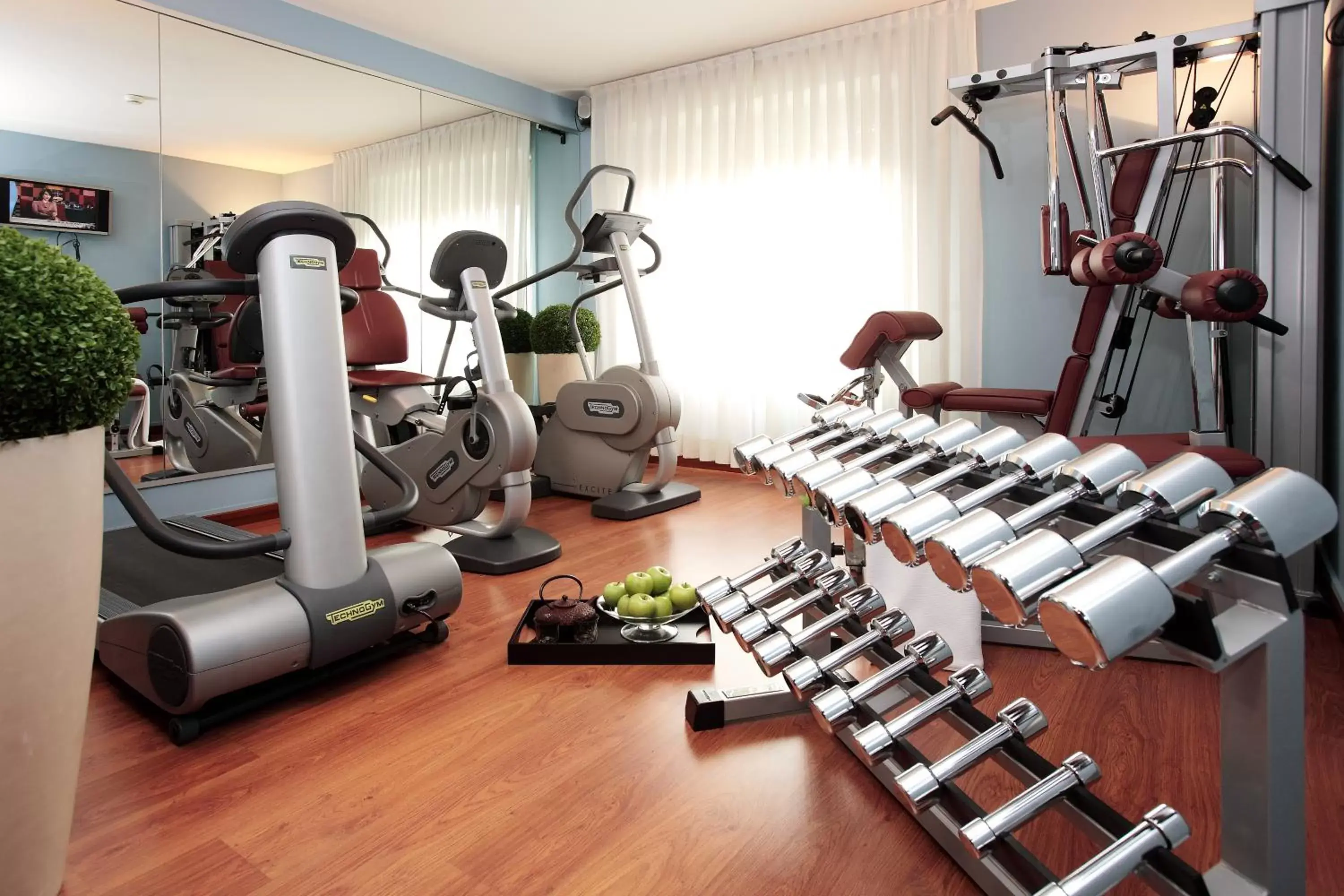 Fitness centre/facilities, Fitness Center/Facilities in Starhotels Vespucci