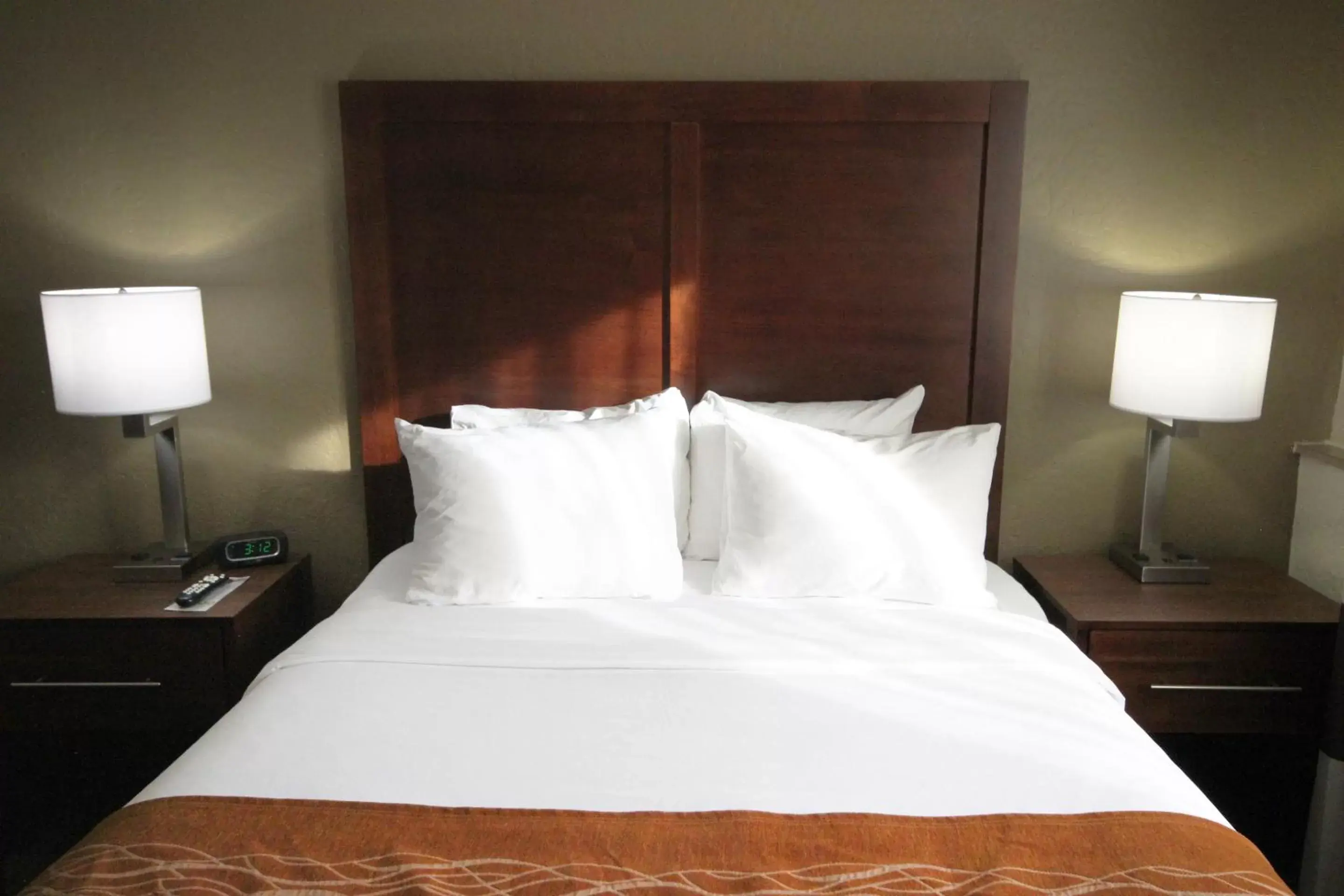 Standard Queen Room with Roll-In Shower - Accessible/Non-Smoking in Comfort Inn Butte City Center I-15 / I-90