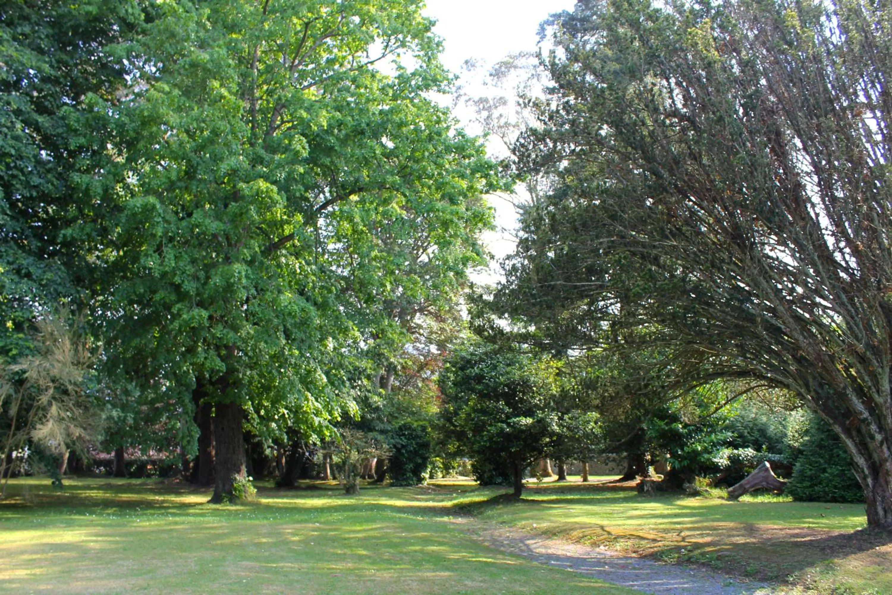 Garden in HOTEL BOUTIQUE VILLA DEL MARQUÉS