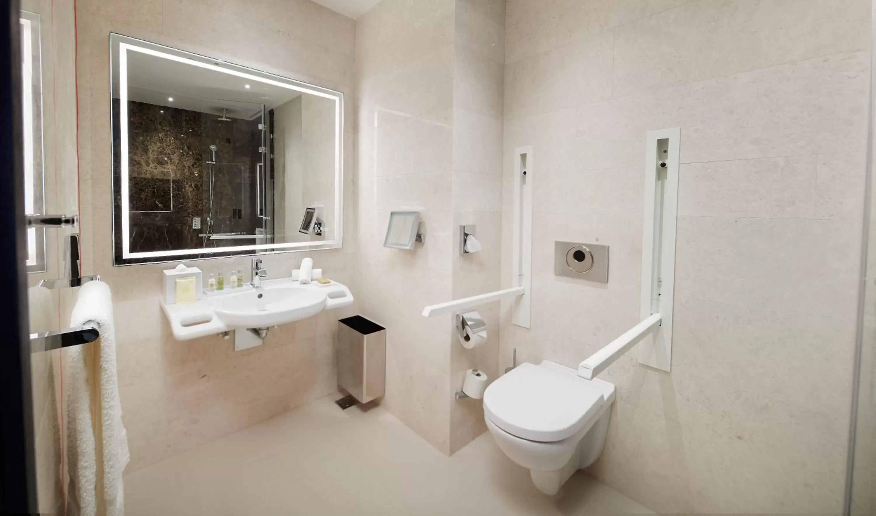Toilet, Bathroom in Hilton Belgrade
