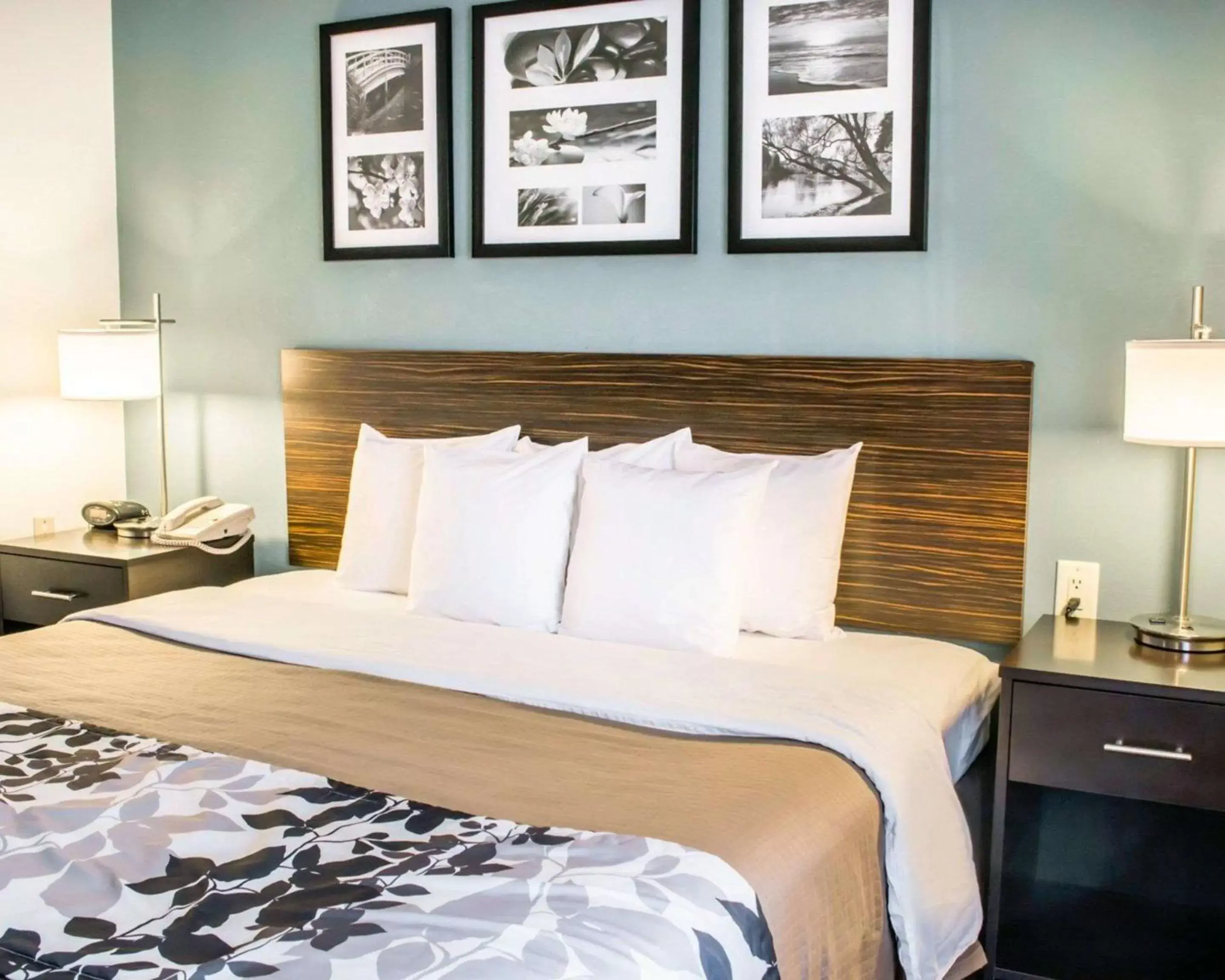 Standard Room King Bed Non Smoking in Sleep Inn & Suites Monticello Standard Room King Bed Non Smoking in Sleep Inn & Suites Monticello