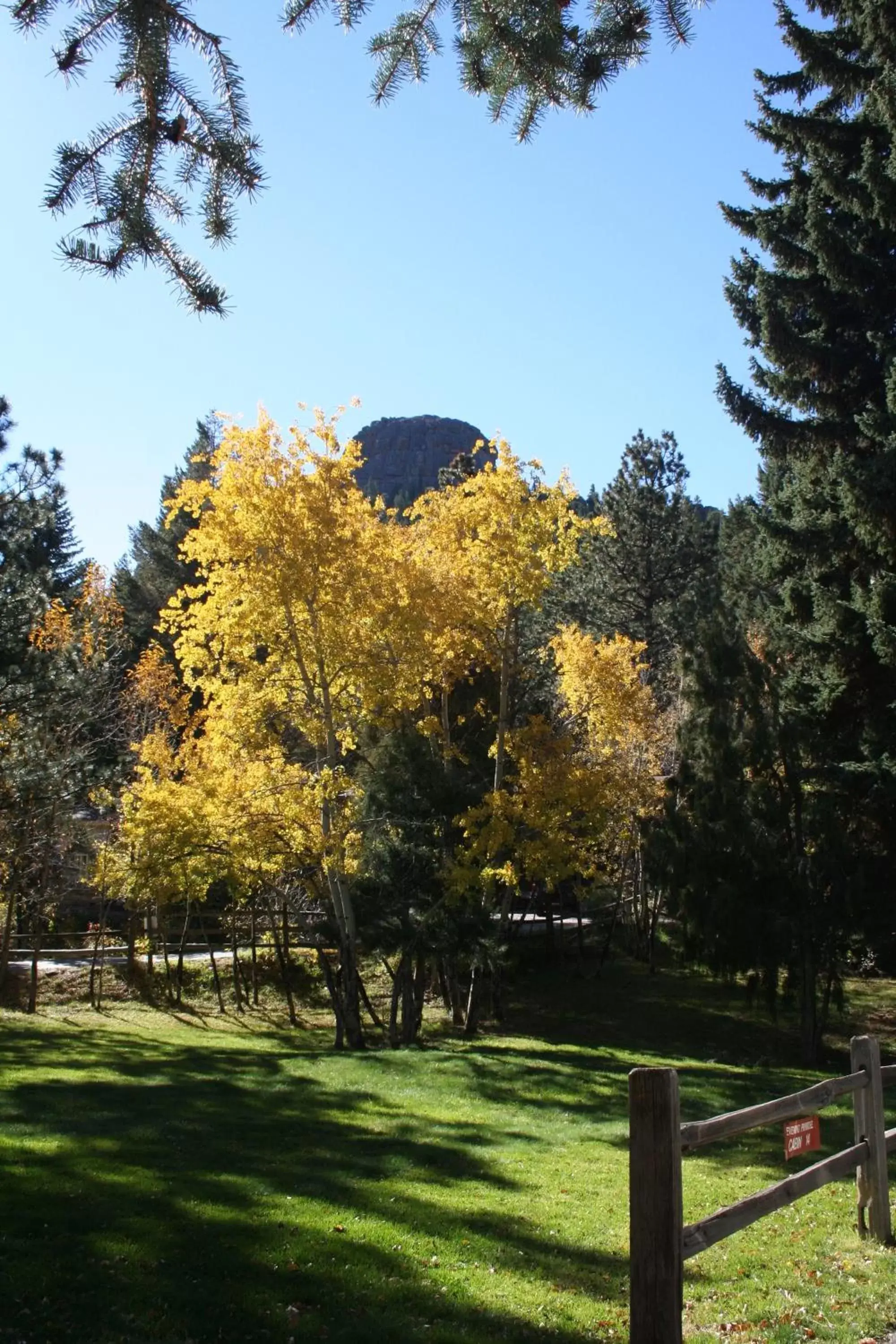 Mountain view in Streamside on Fall River