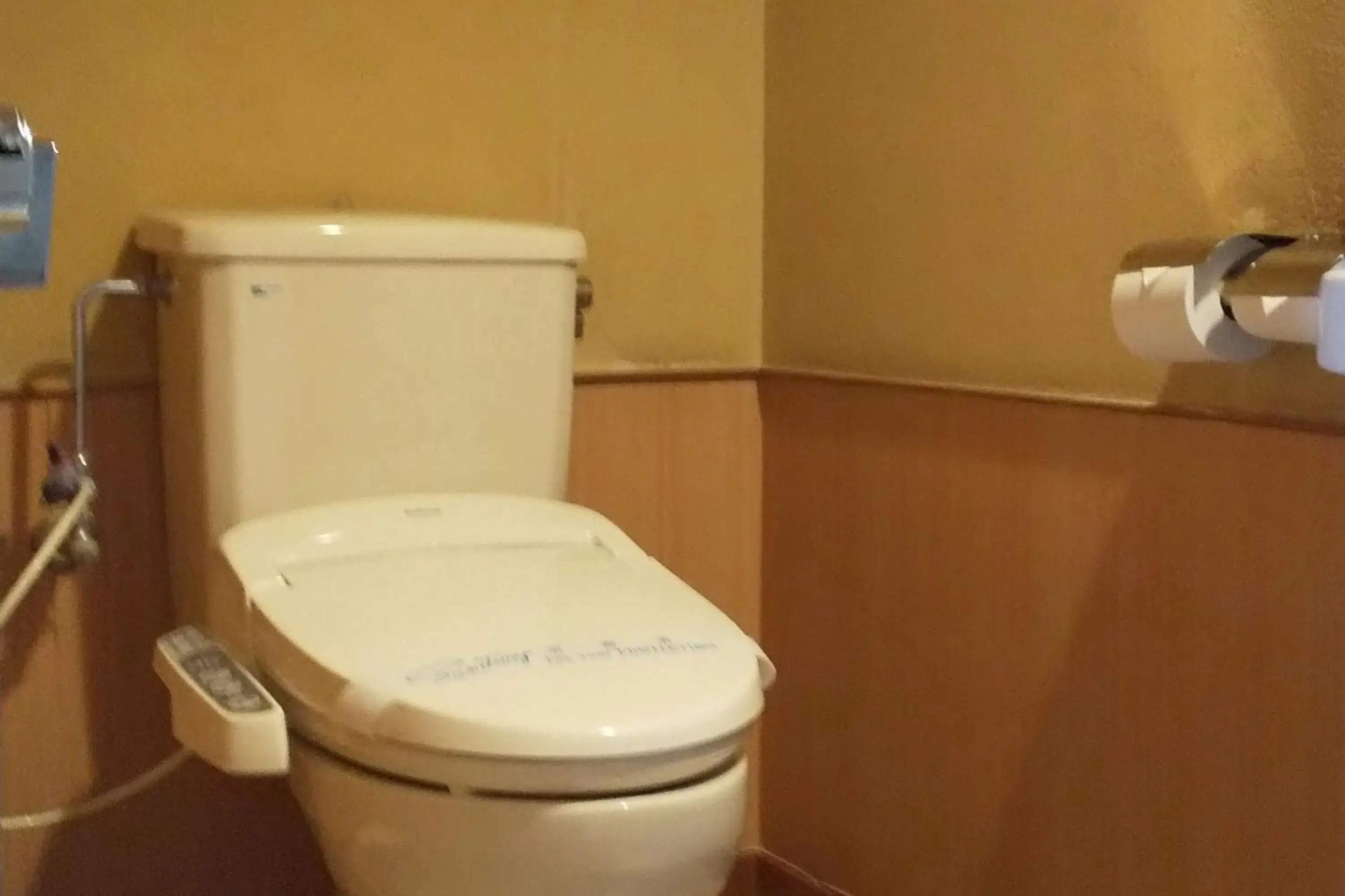 Toilet, Bathroom in Ryokan Nishi-no-Miyabi Tokiwa