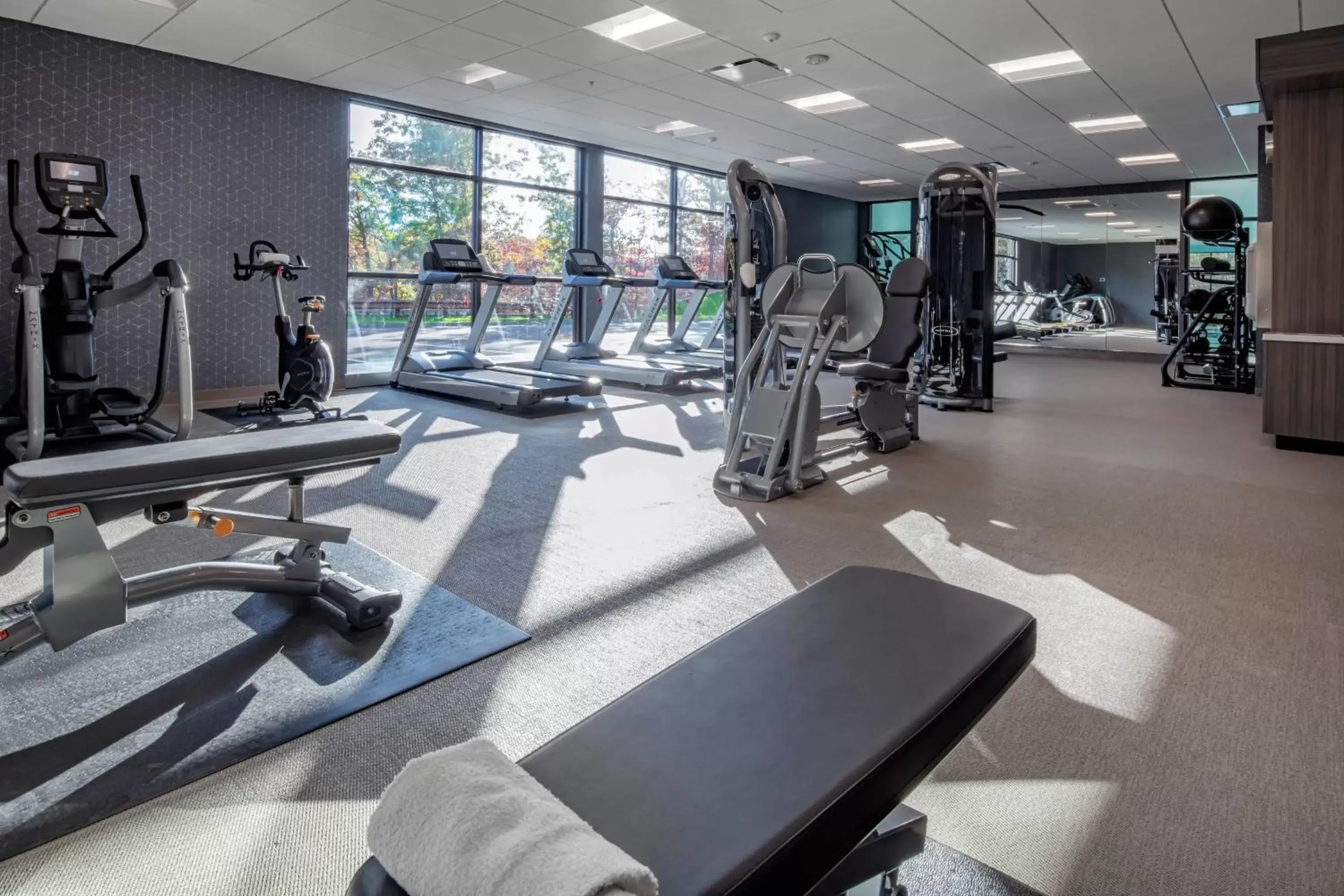 Fitness centre/facilities, Fitness Center/Facilities in SpringHill Suites By Marriott Wrentham Plainville