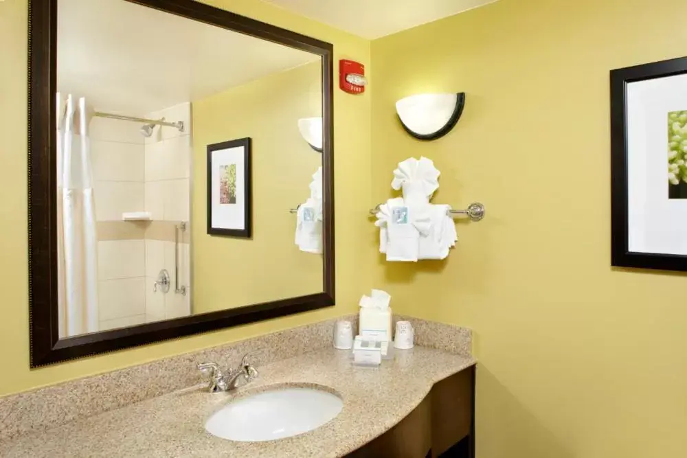 Bathroom in Hilton Garden Inn Tampa East Brandon