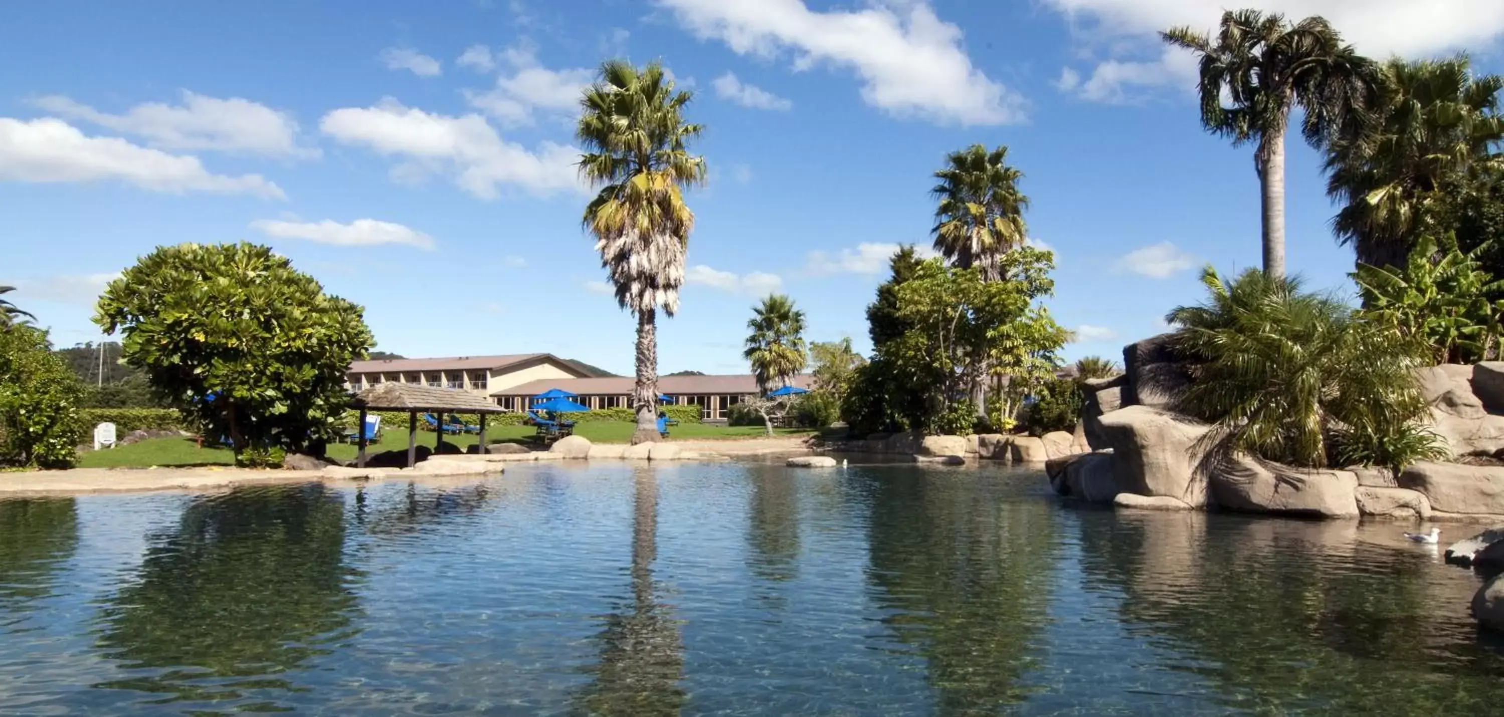 Swimming pool in Copthorne Hotel & Resort Bay Of Islands Swimming pool in Copthorne Hotel & Resort Bay Of Islands