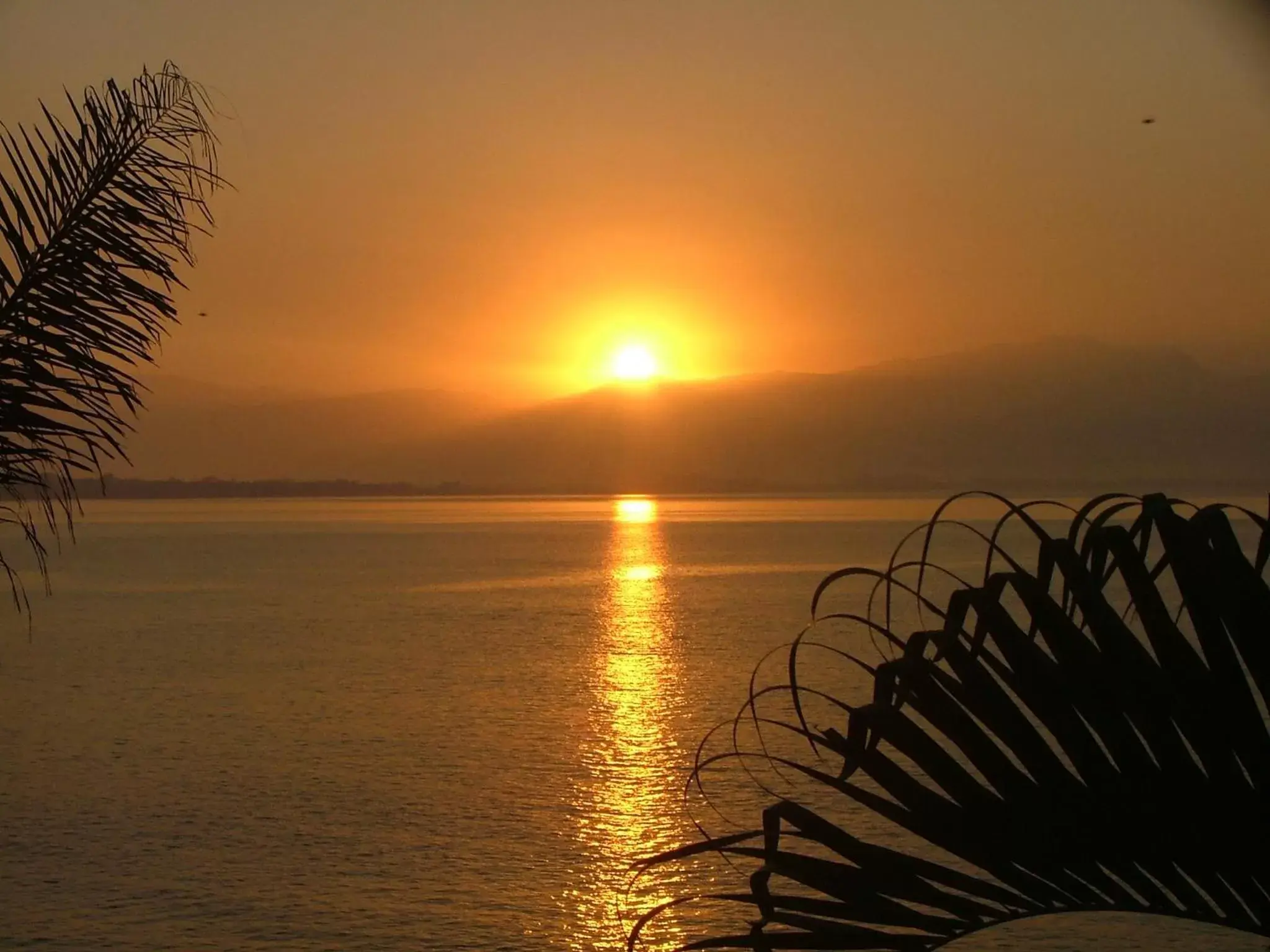 Natural landscape, Sunrise/Sunset in Villas Jardin Del Mar