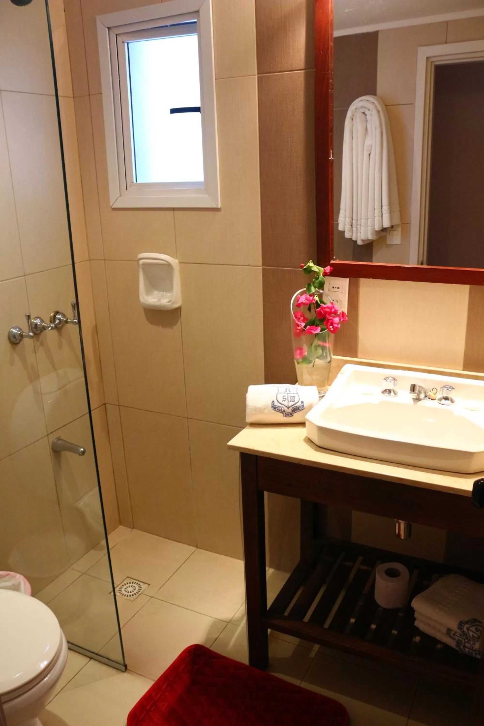 Bathroom in Hotel San Martin