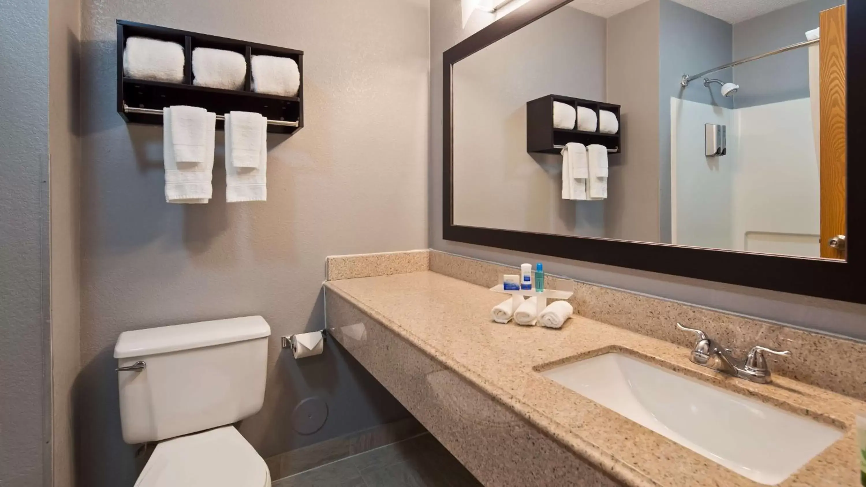 Bathroom in Best Western Executive Inn- Mount Gilead