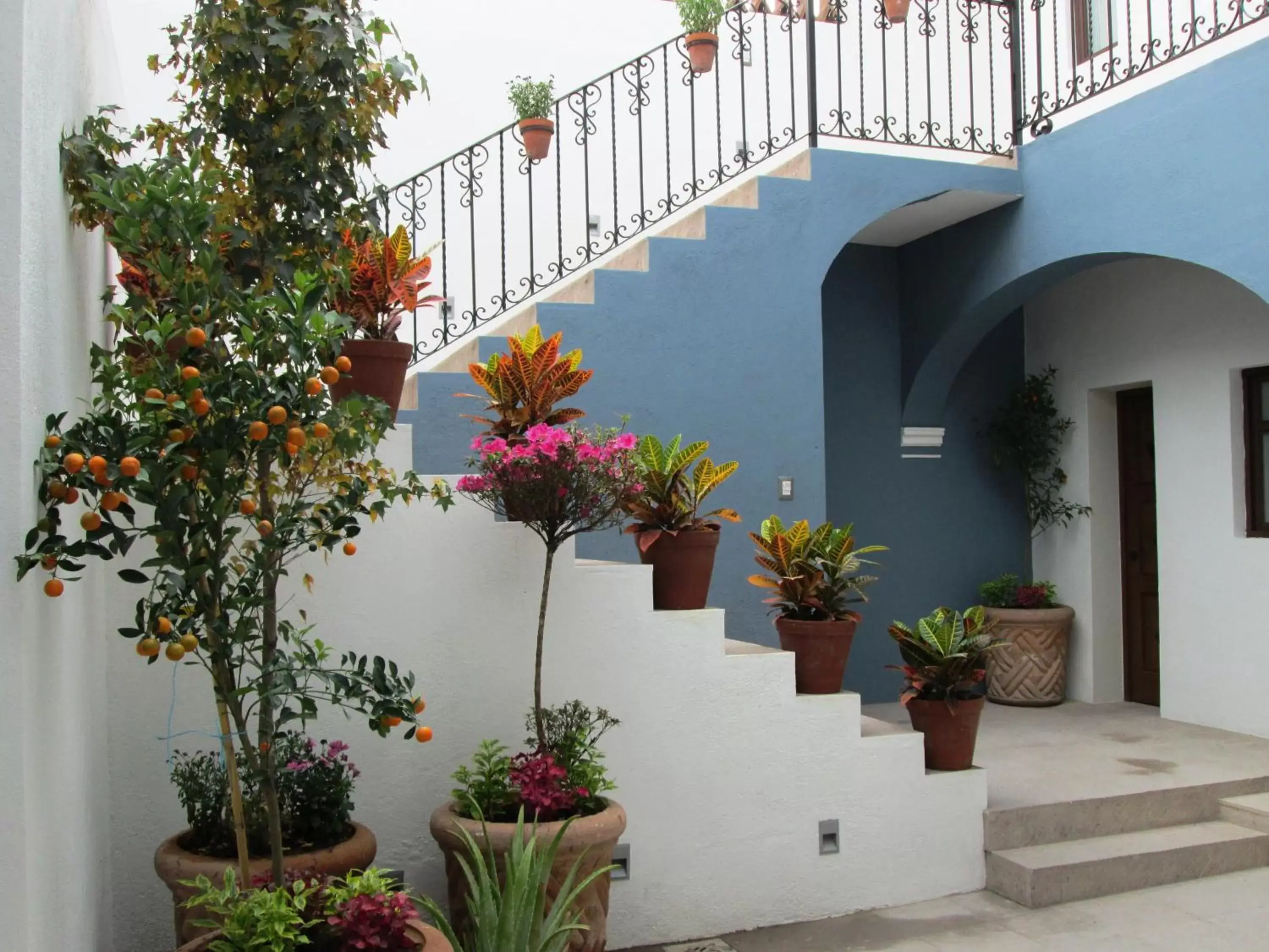 Patio in Hotel Boutique Casa Altamira Patio in Hotel Boutique Casa Altamira