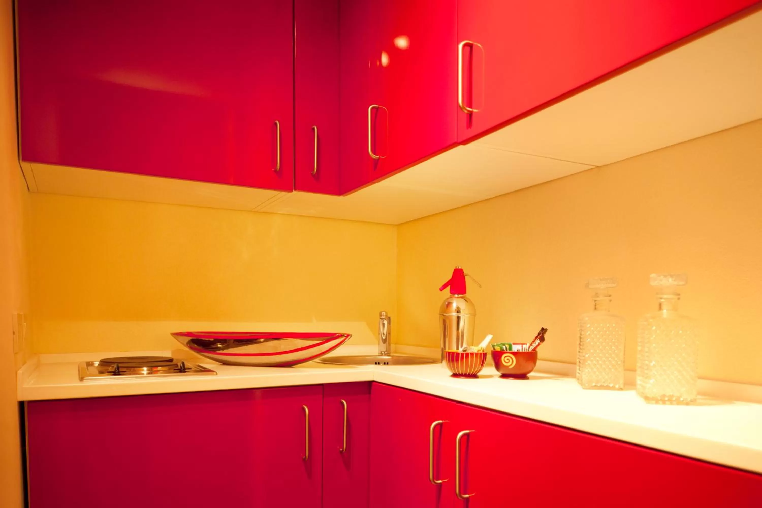 Kitchen or kitchenette in Exclusive Aparthotel La Reunion