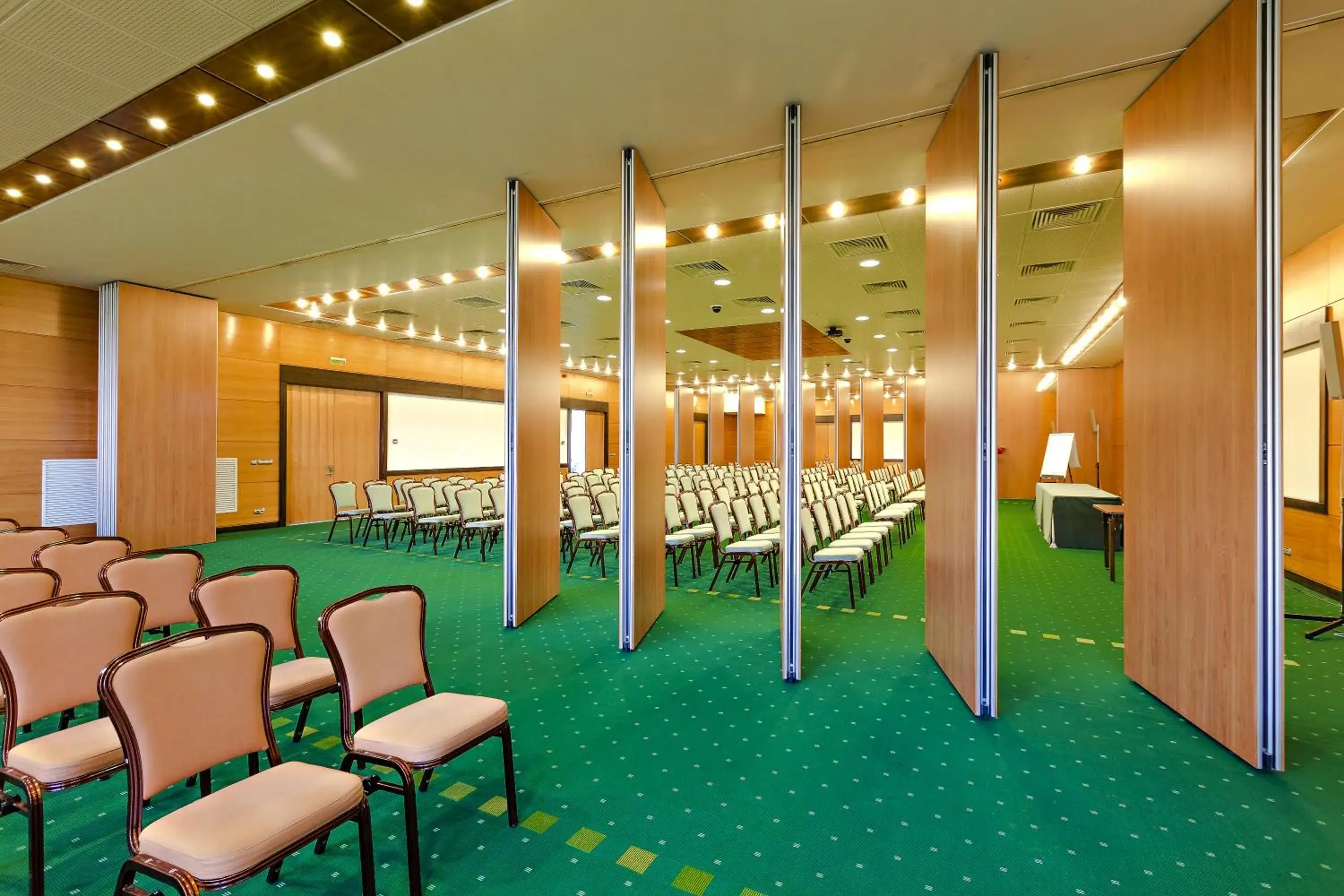 Business facilities in Hotel Aro Palace