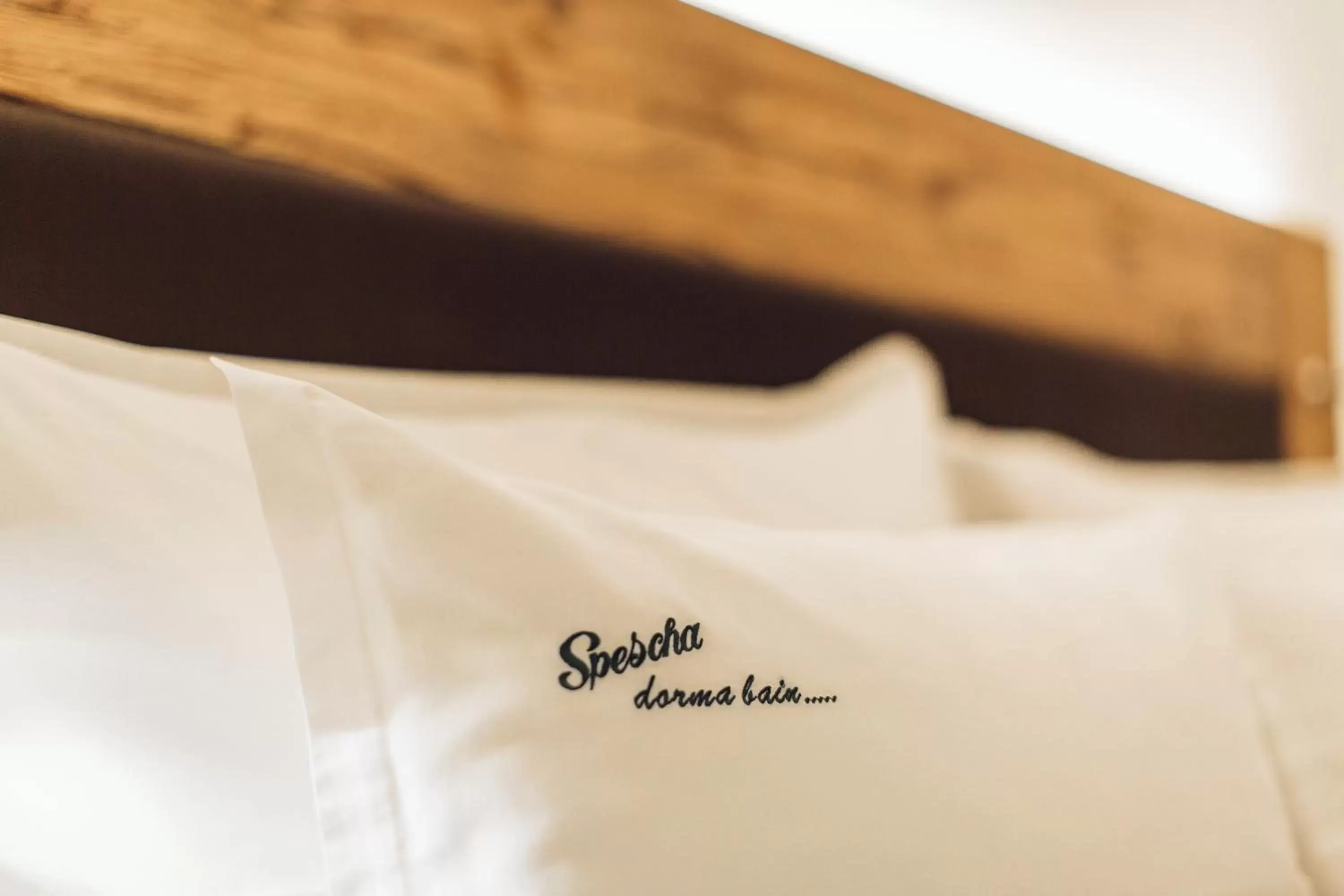 Bed, Property Logo/Sign in Hotel Spescha