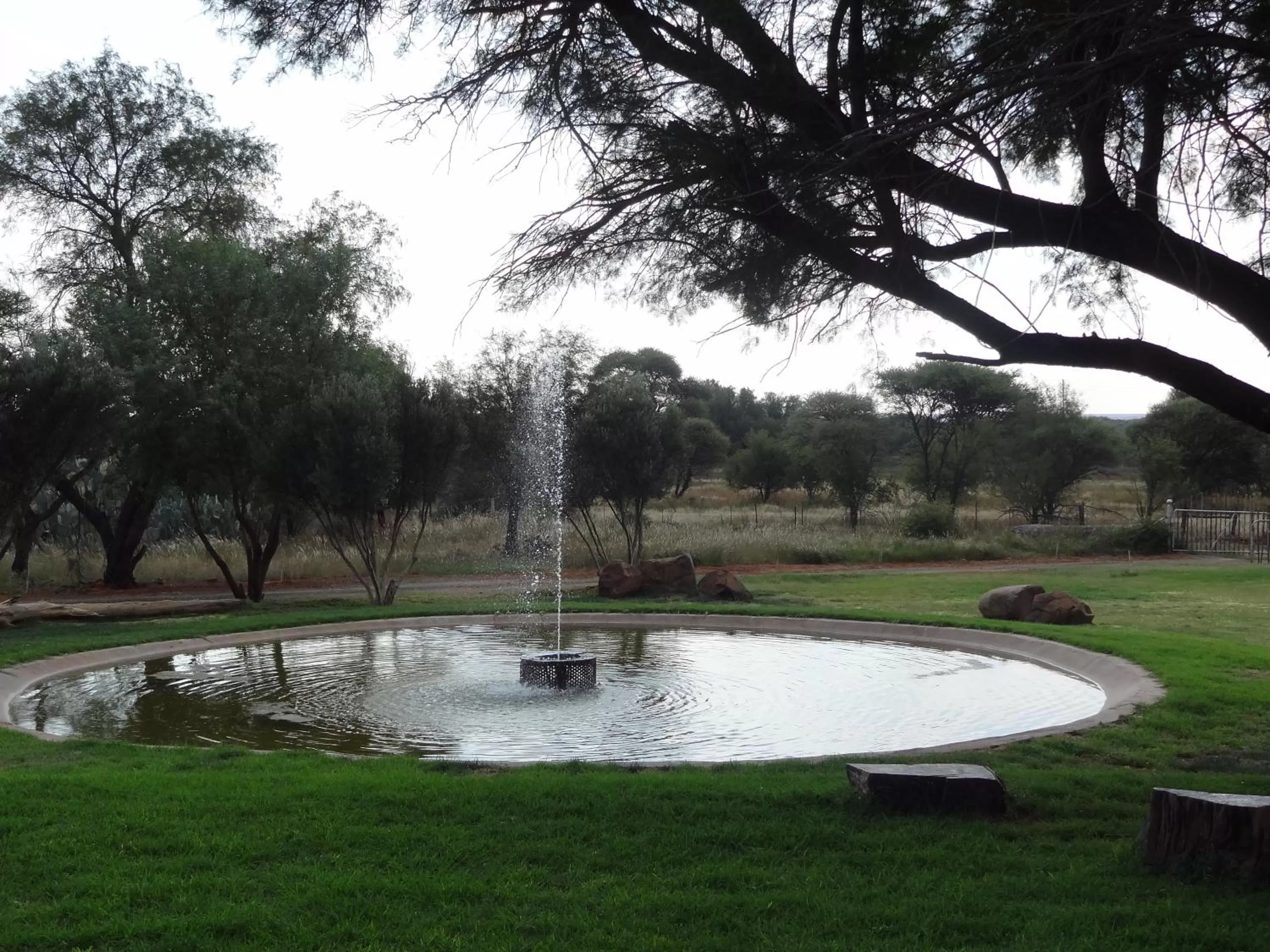 On site in Die Olyfhuis