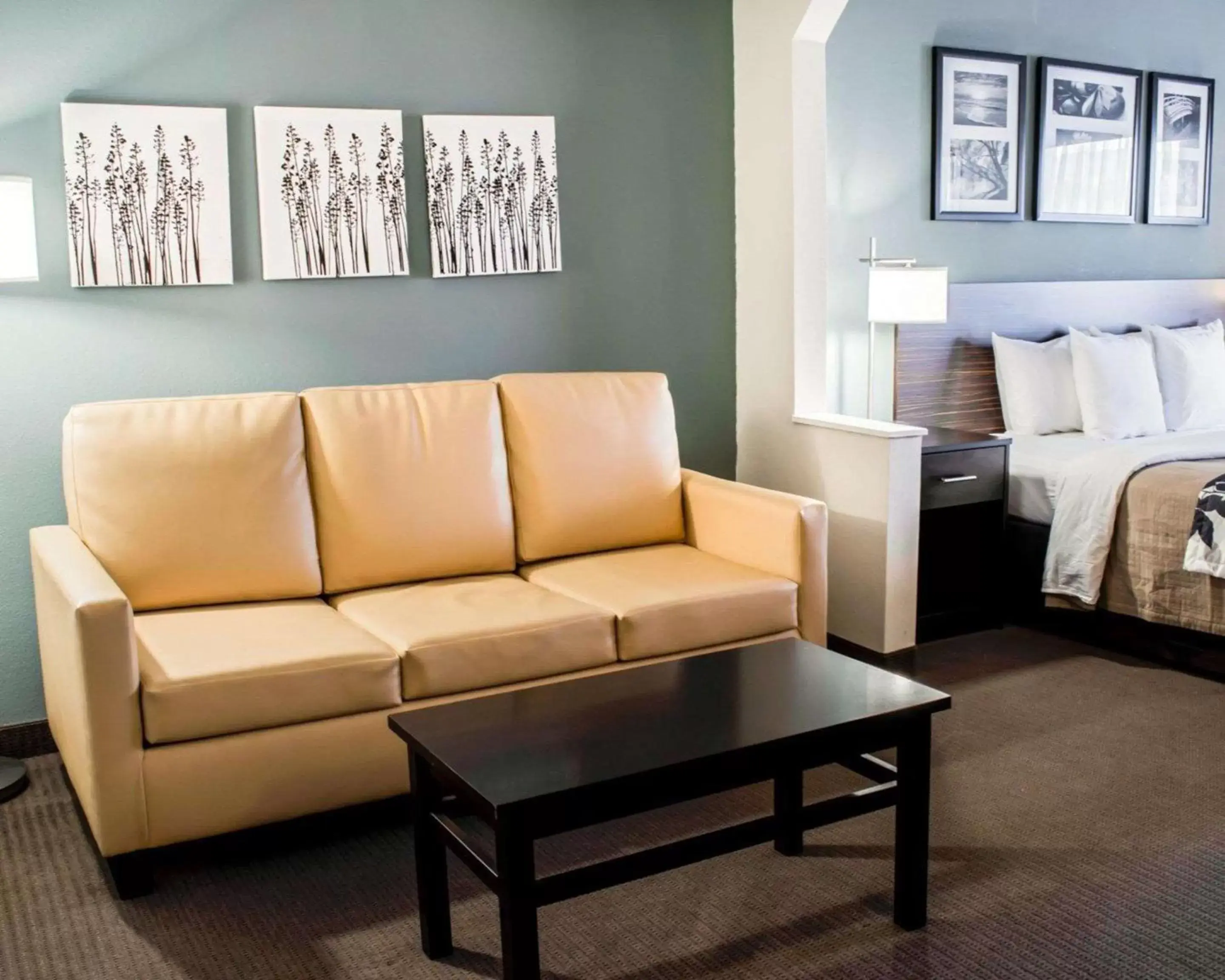 Photo of the whole room, Seating Area in Sleep Inn & Suites Monticello