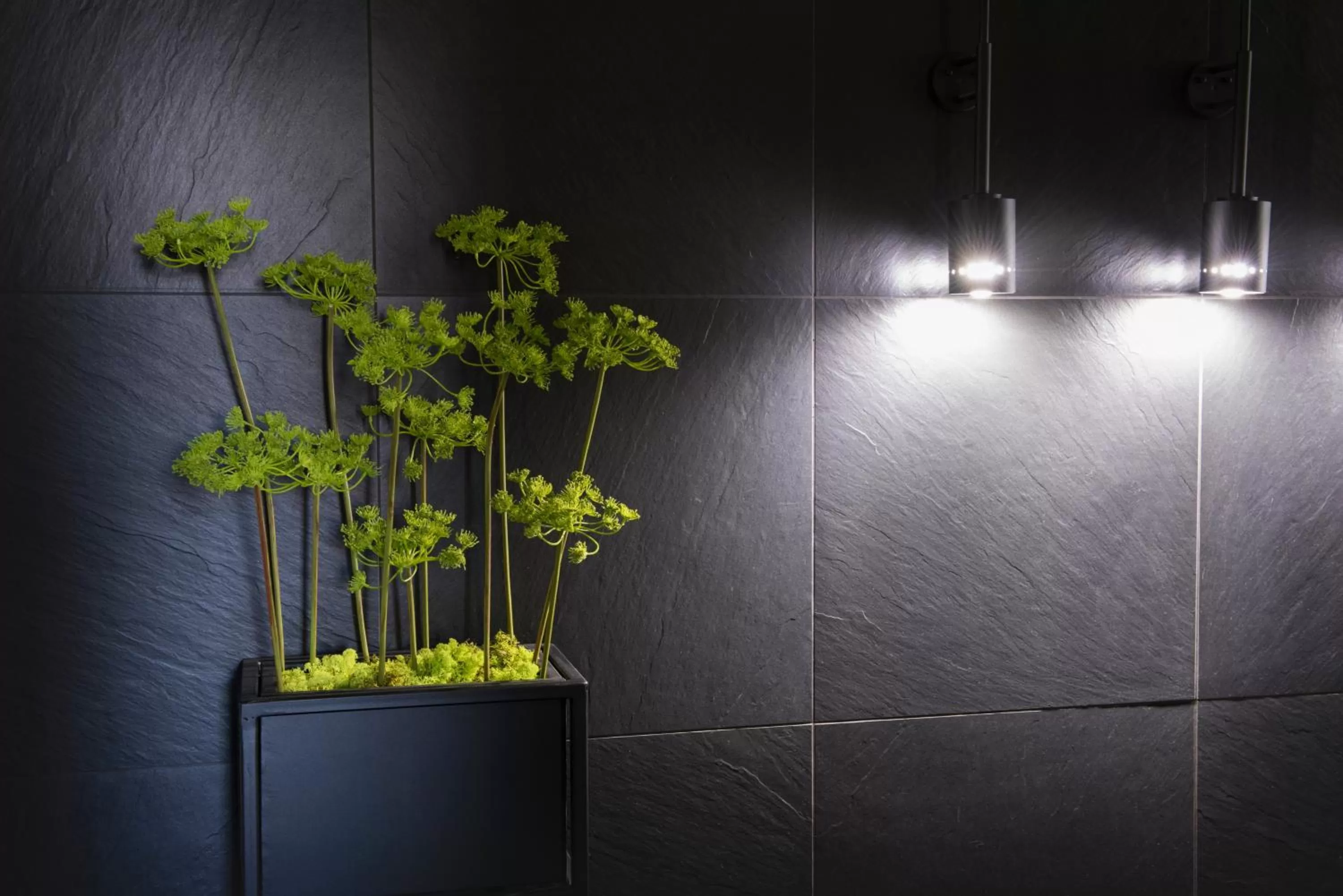 Decorative detail in Hotel Central