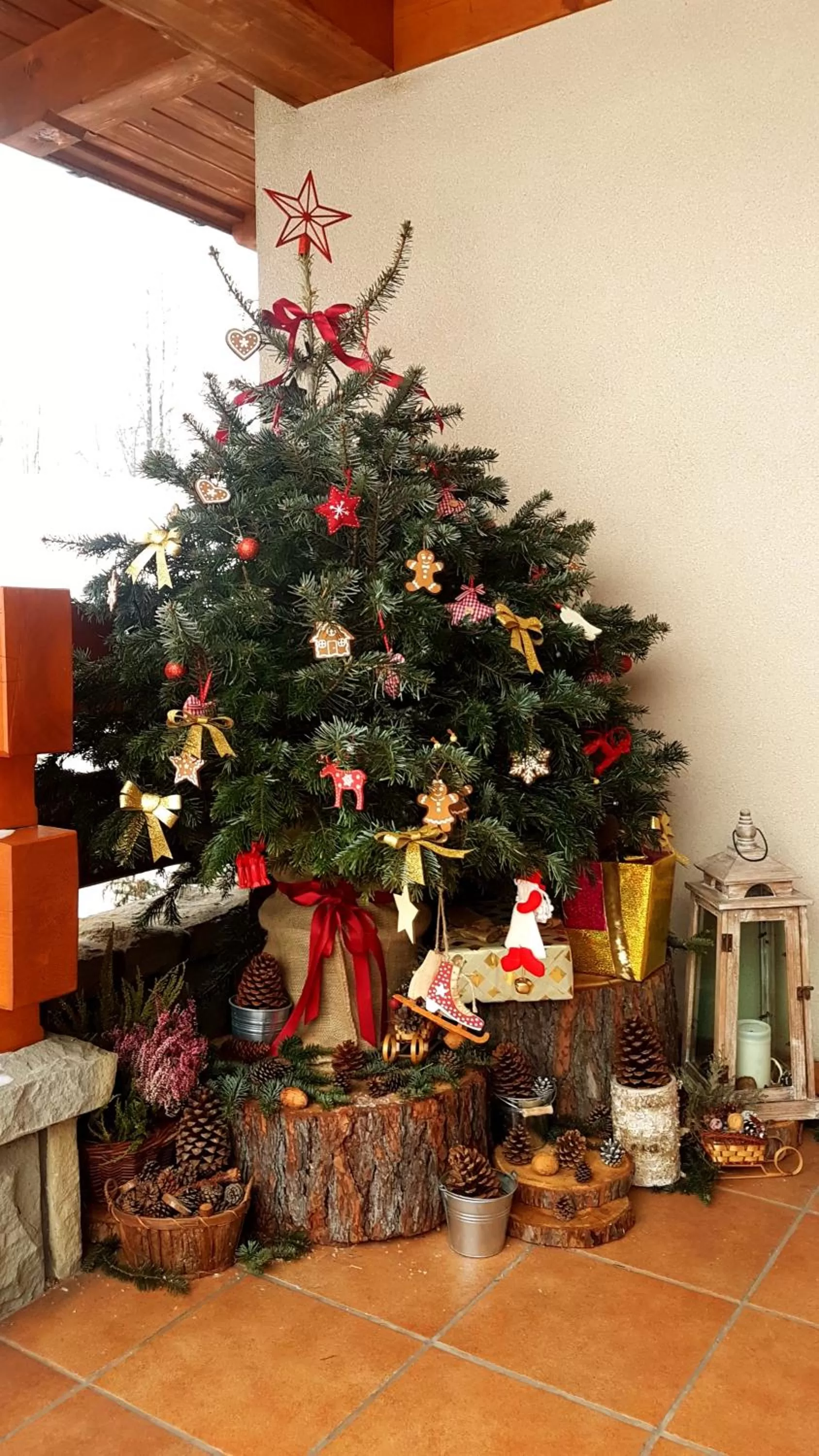 Leśny Dworek Zakopane