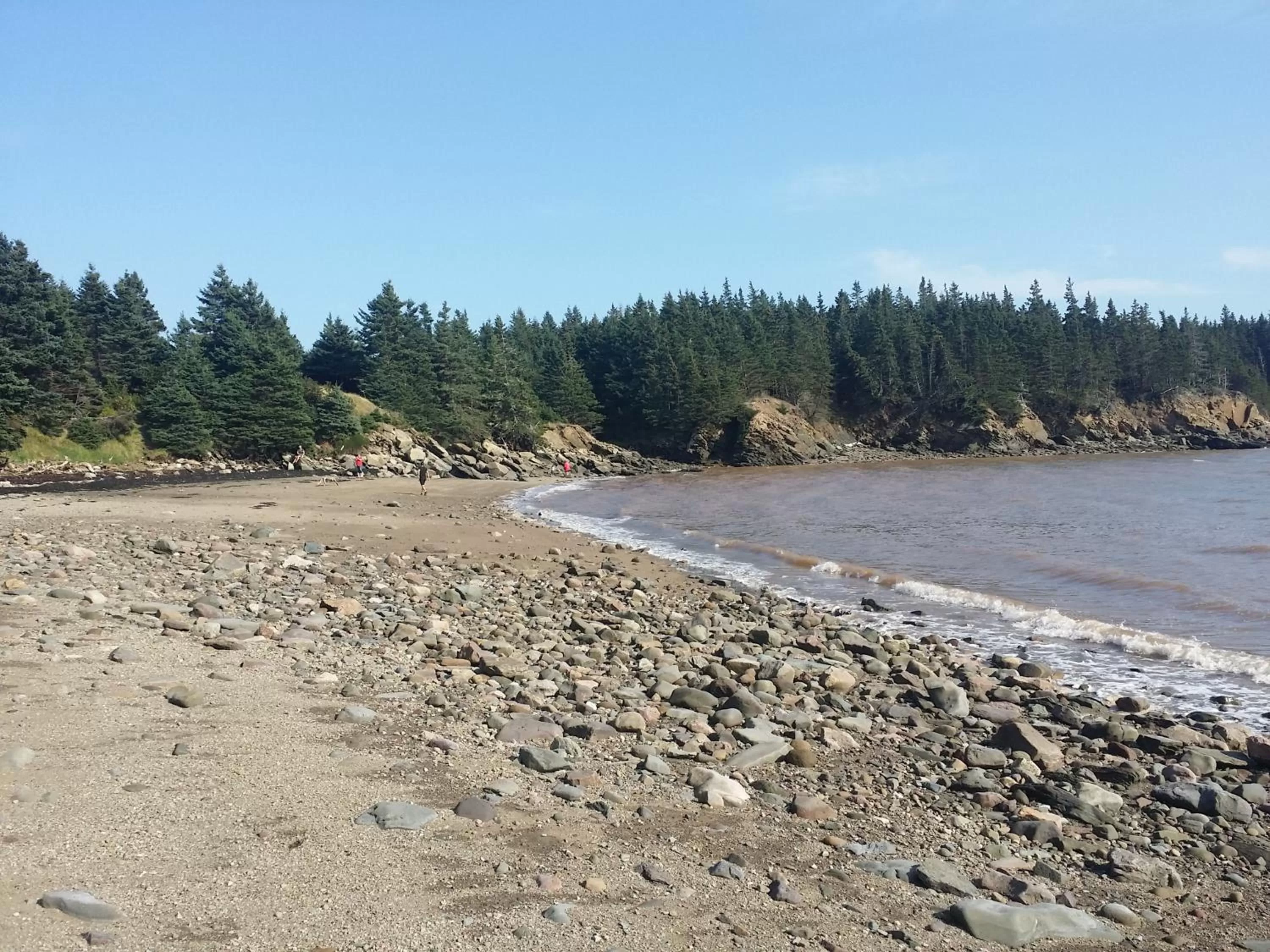 View (from property/room) in Maplehurst Manor Bed and Breakfast