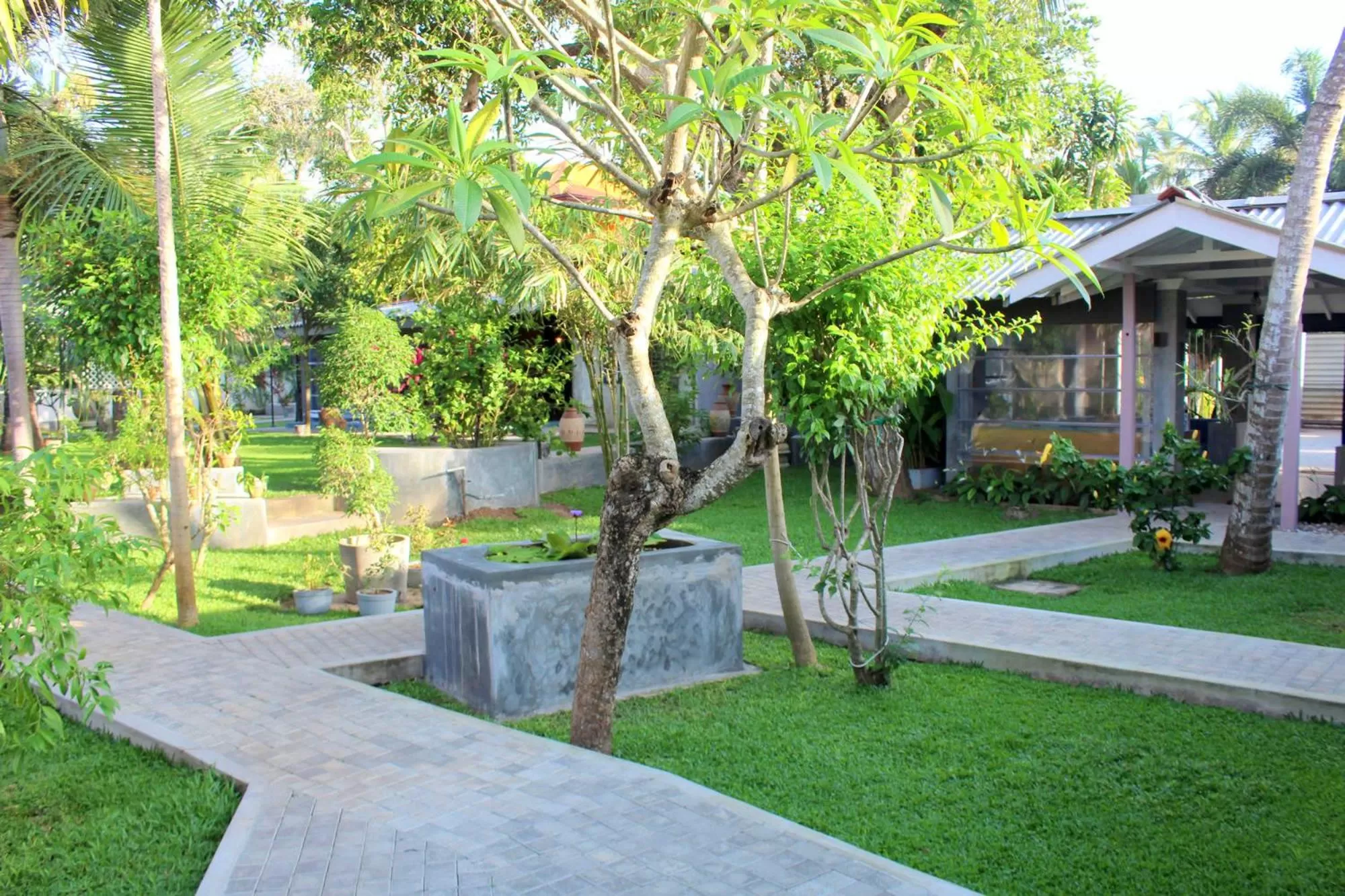Garden in Morning Star Resorts