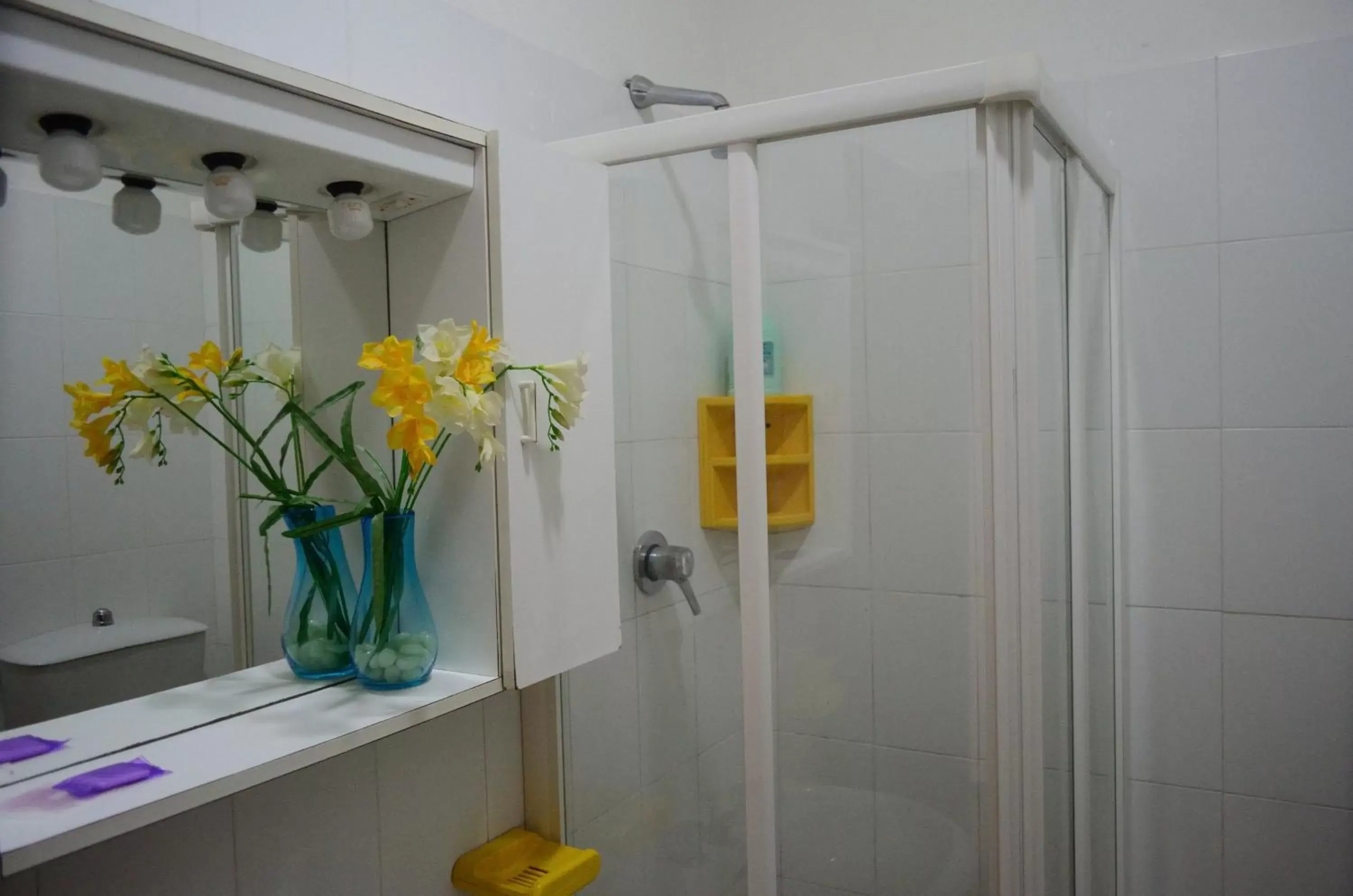 Shower, Bathroom in Residenza Alberghiera Italia