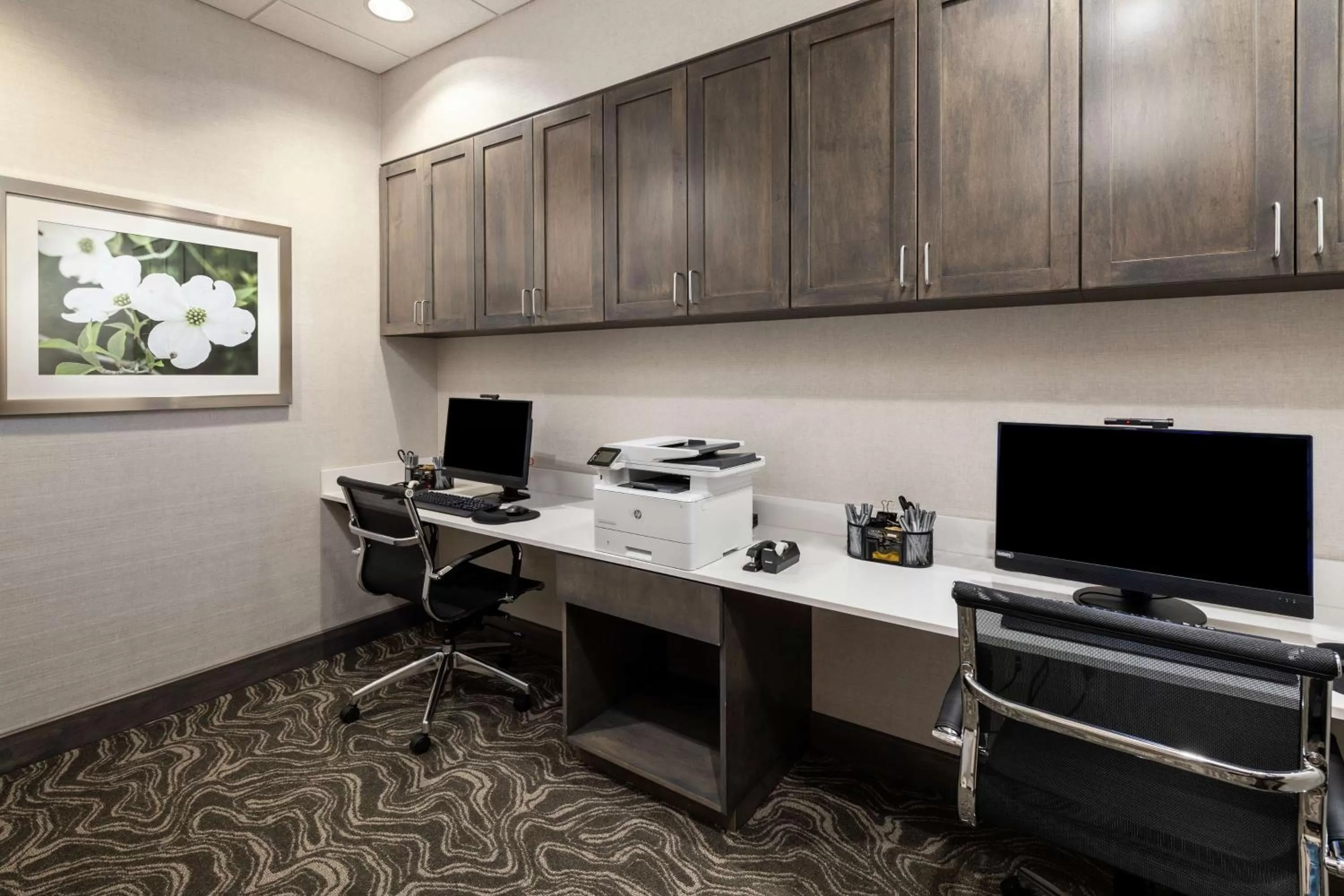 Business facilities in Hampton Inn & Suites Snellville Atlanta Ne