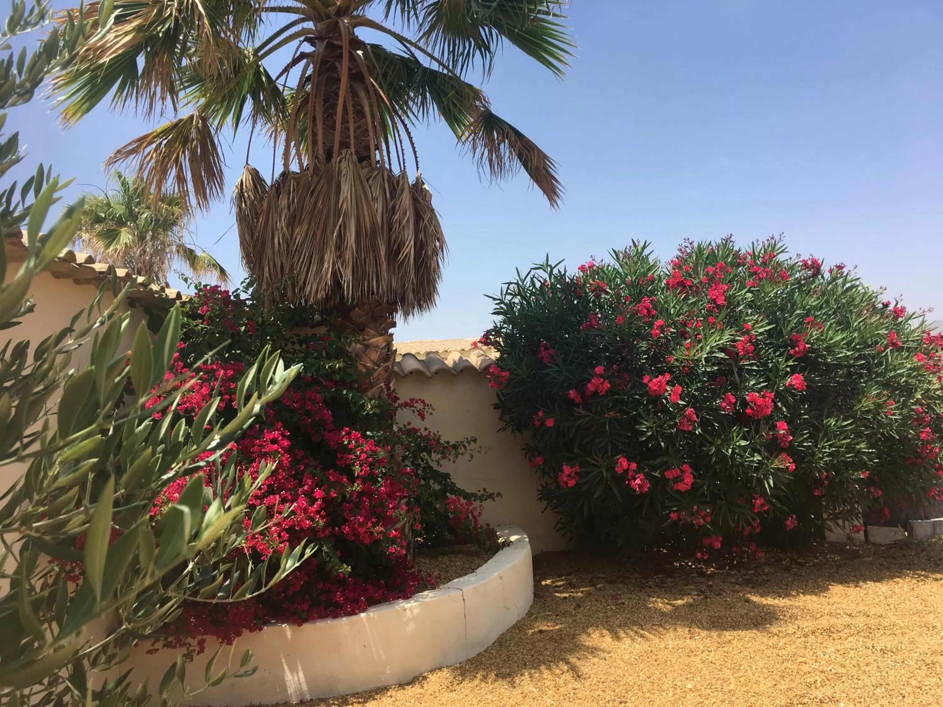 Property building, Garden in Cortijo Esquina B&B Guesthouse