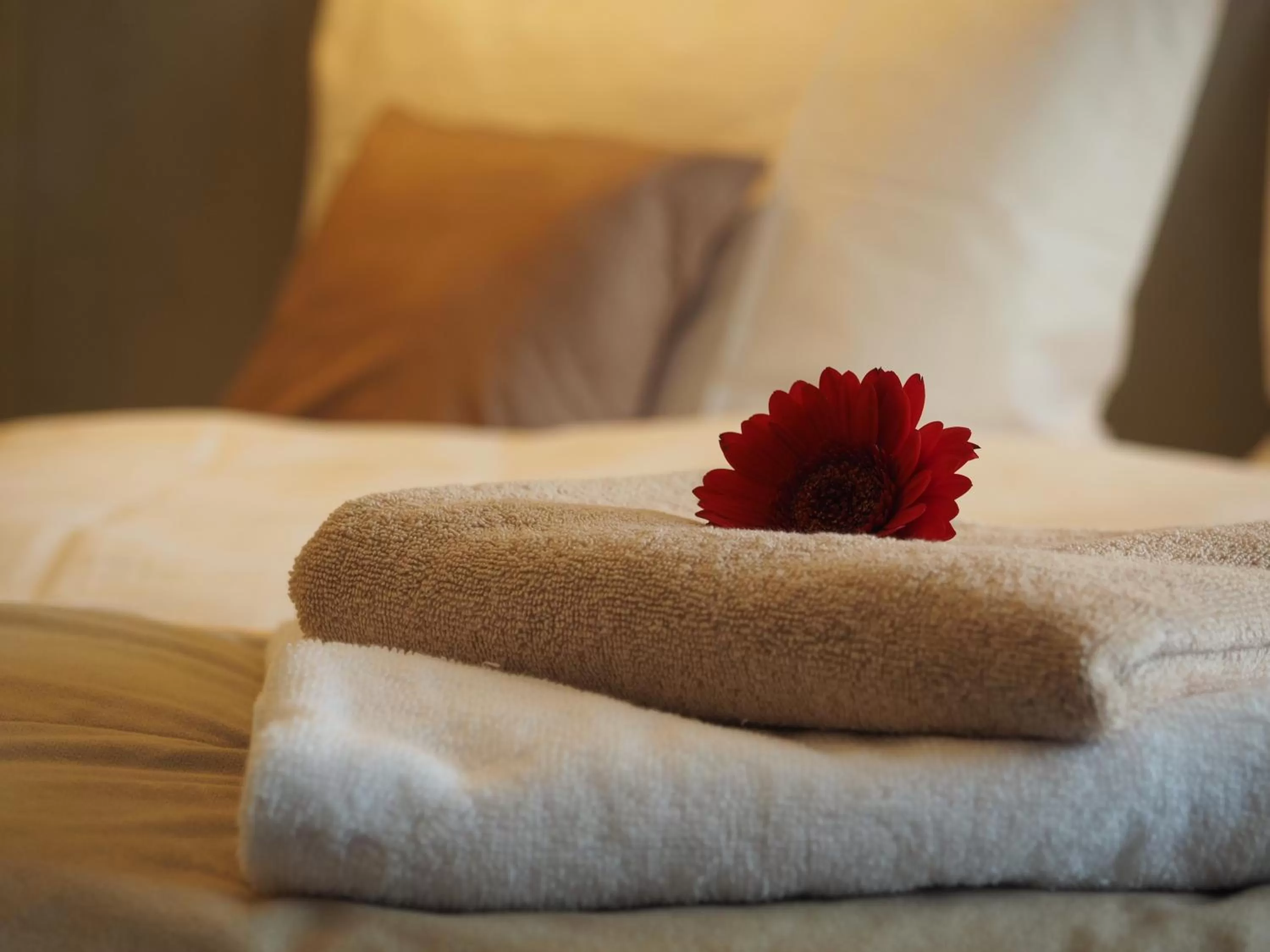 Decorative detail, Bed in Hotel Výpřež - Děčín