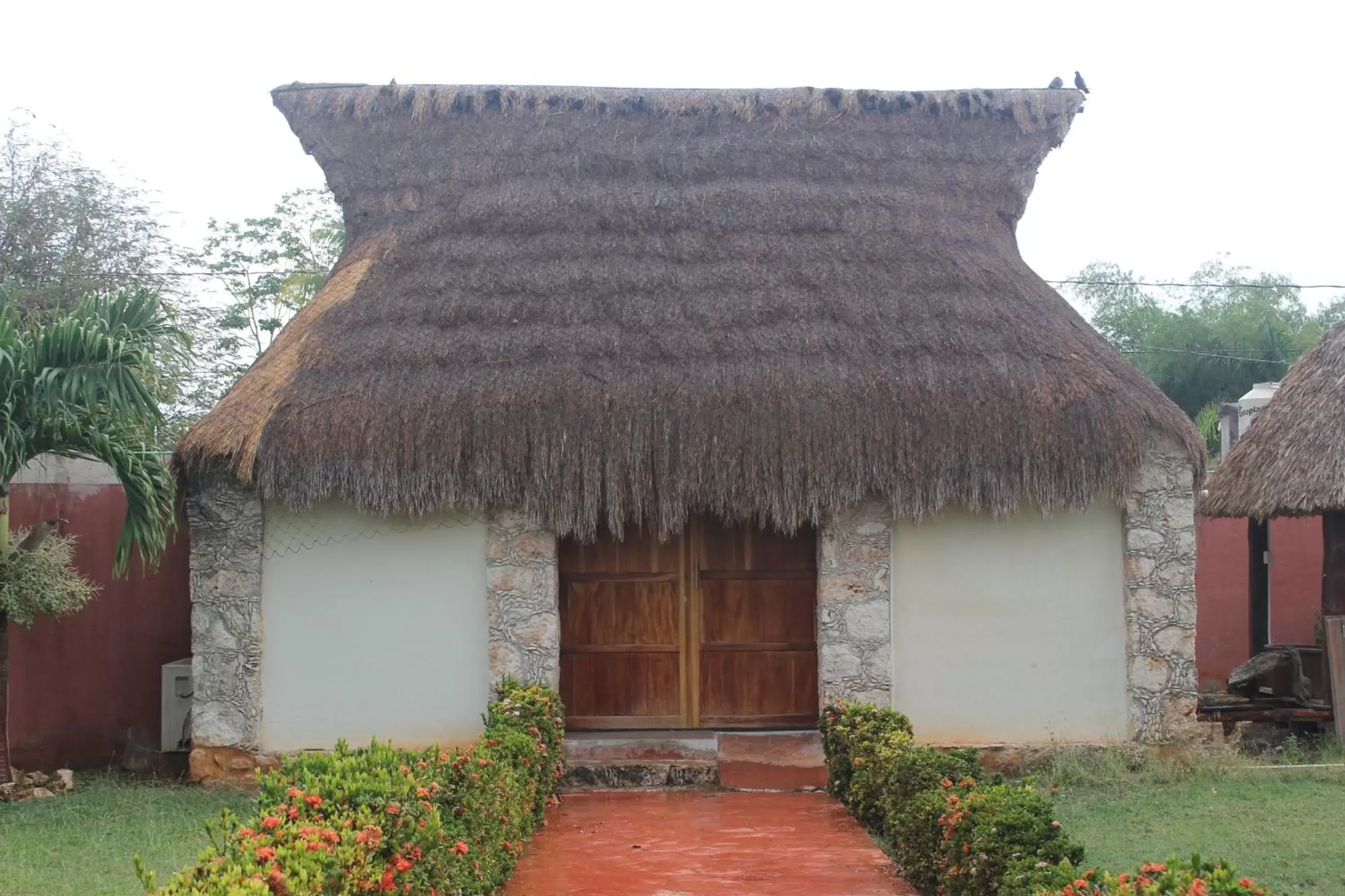 Property Building in Mangrove King Fishing Lodge