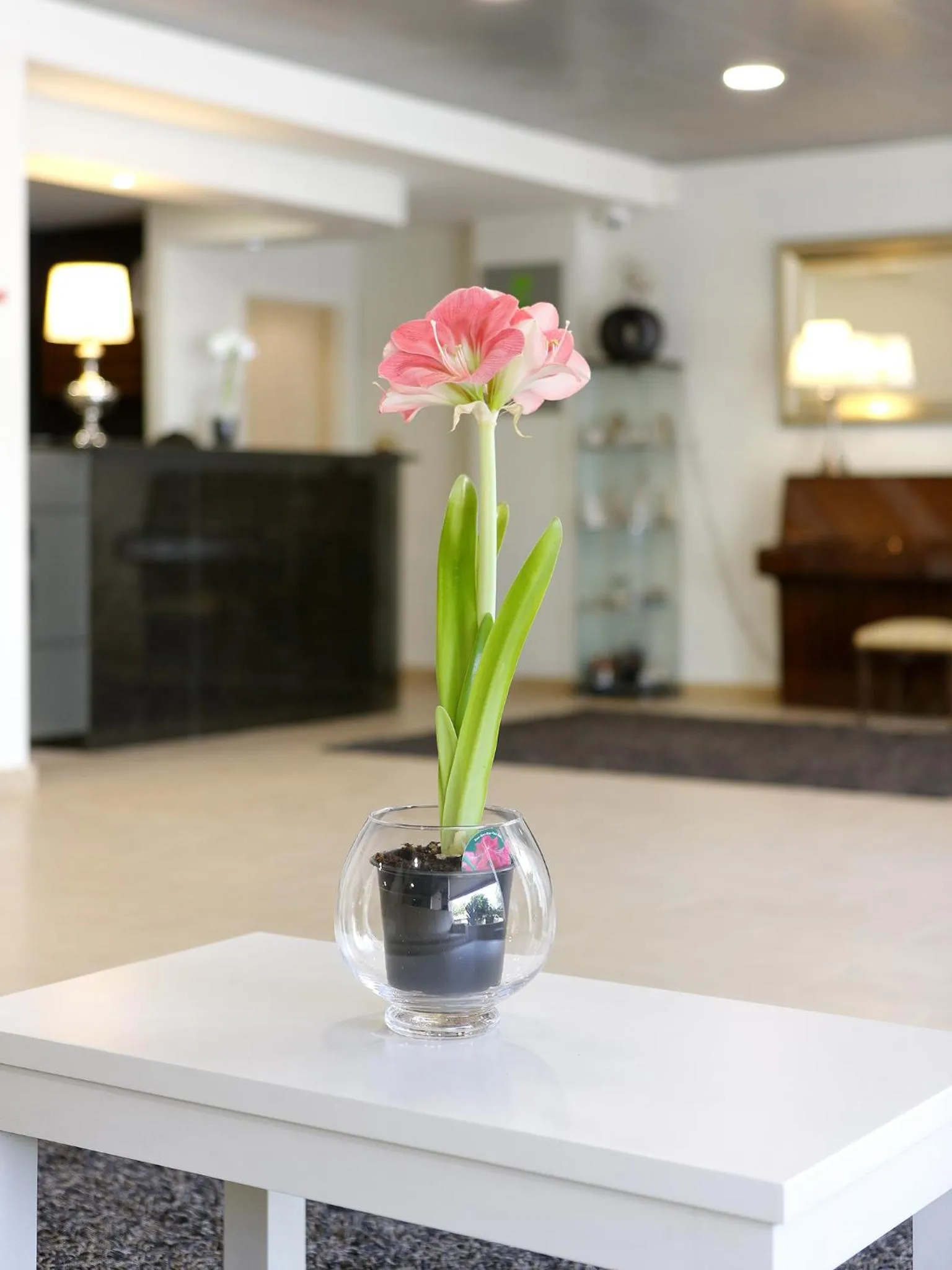 Decorative detail in Cova da Iria Hotel