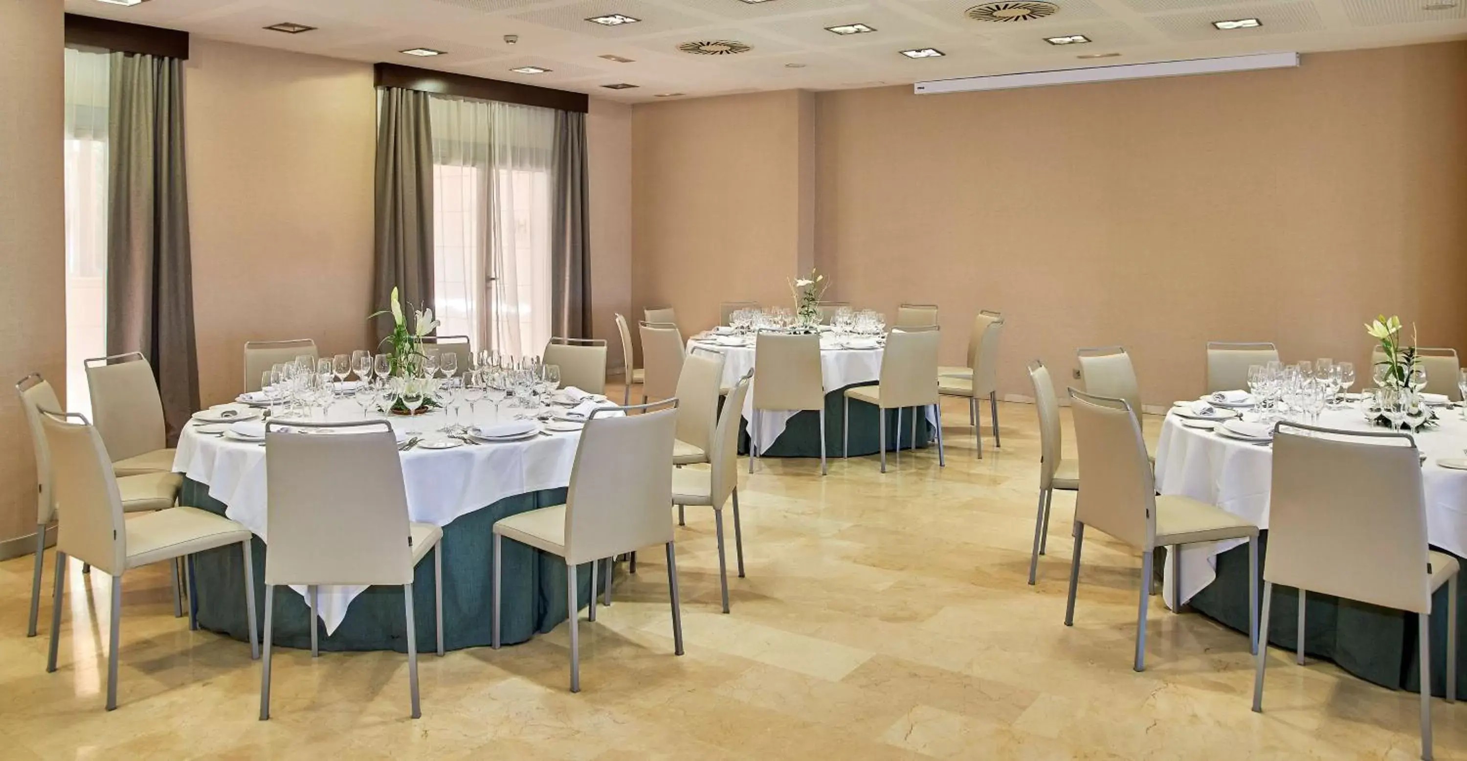 Meeting/conference room, Restaurant/Places to Eat in NH Alicante