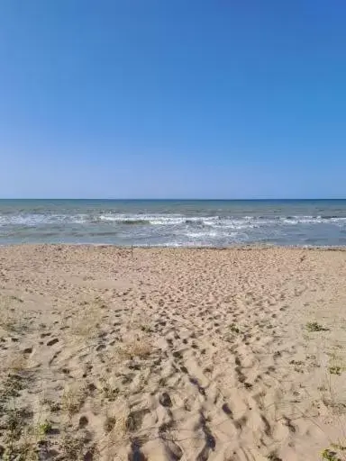 Beach in Sea Holidays