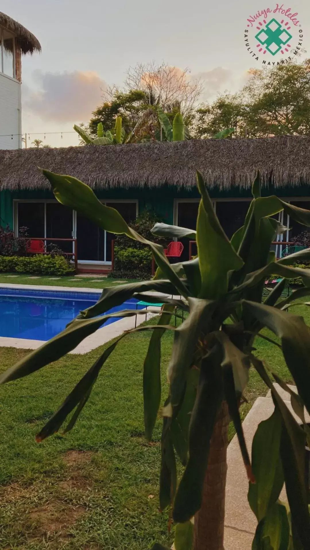 Garden, Swimming Pool in Nuiya Hoteles Centro