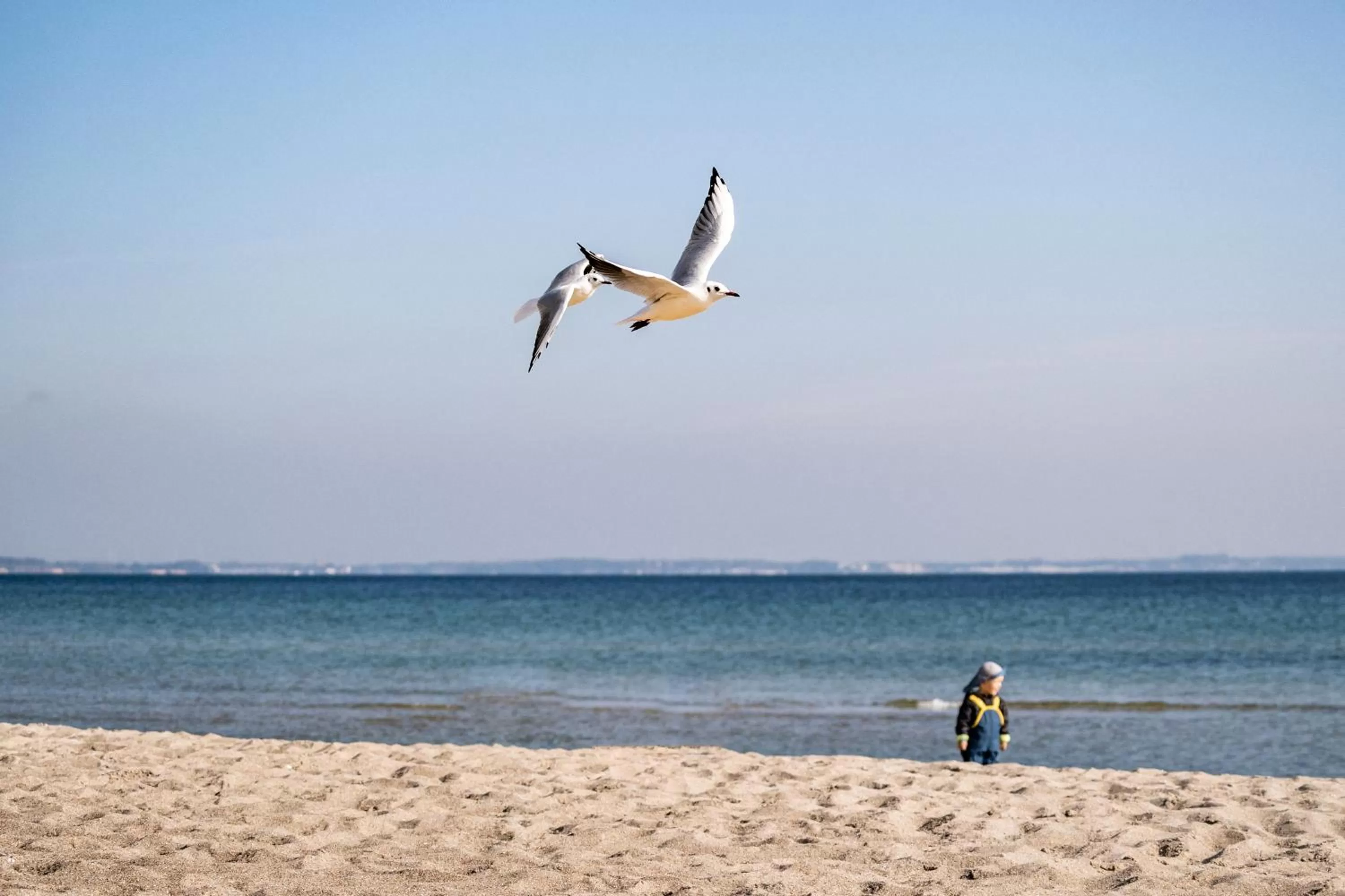 Beach in Hotel Gran BelVeder & Ostsee Therme Resort & Spa