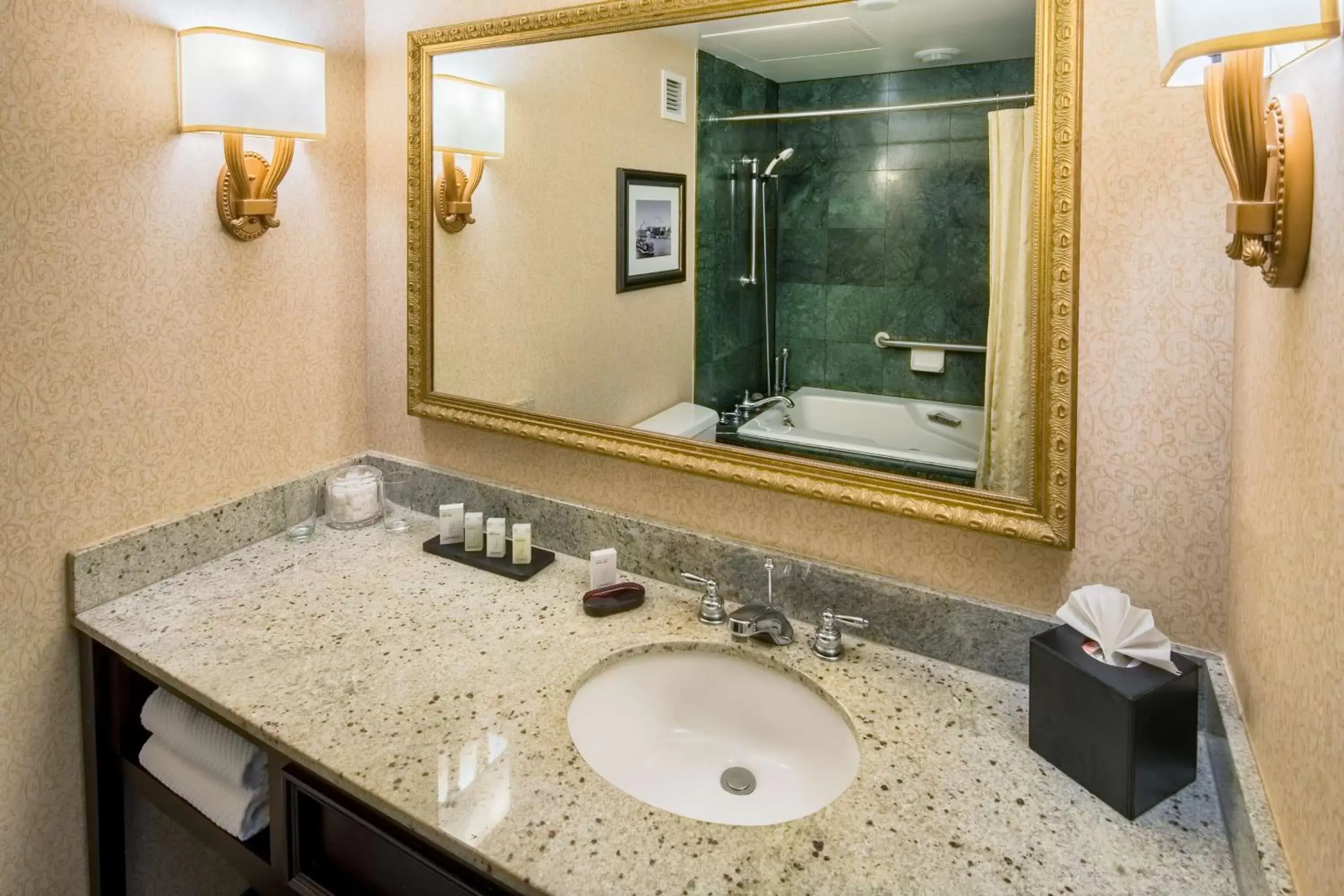 Bathroom in Embassy Suites by Hilton Portland Downtown