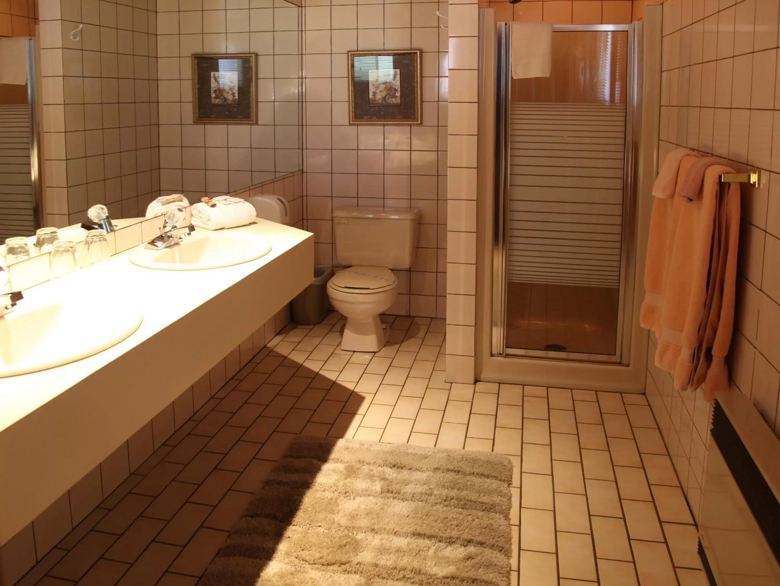 Bathroom in Auberge Godard