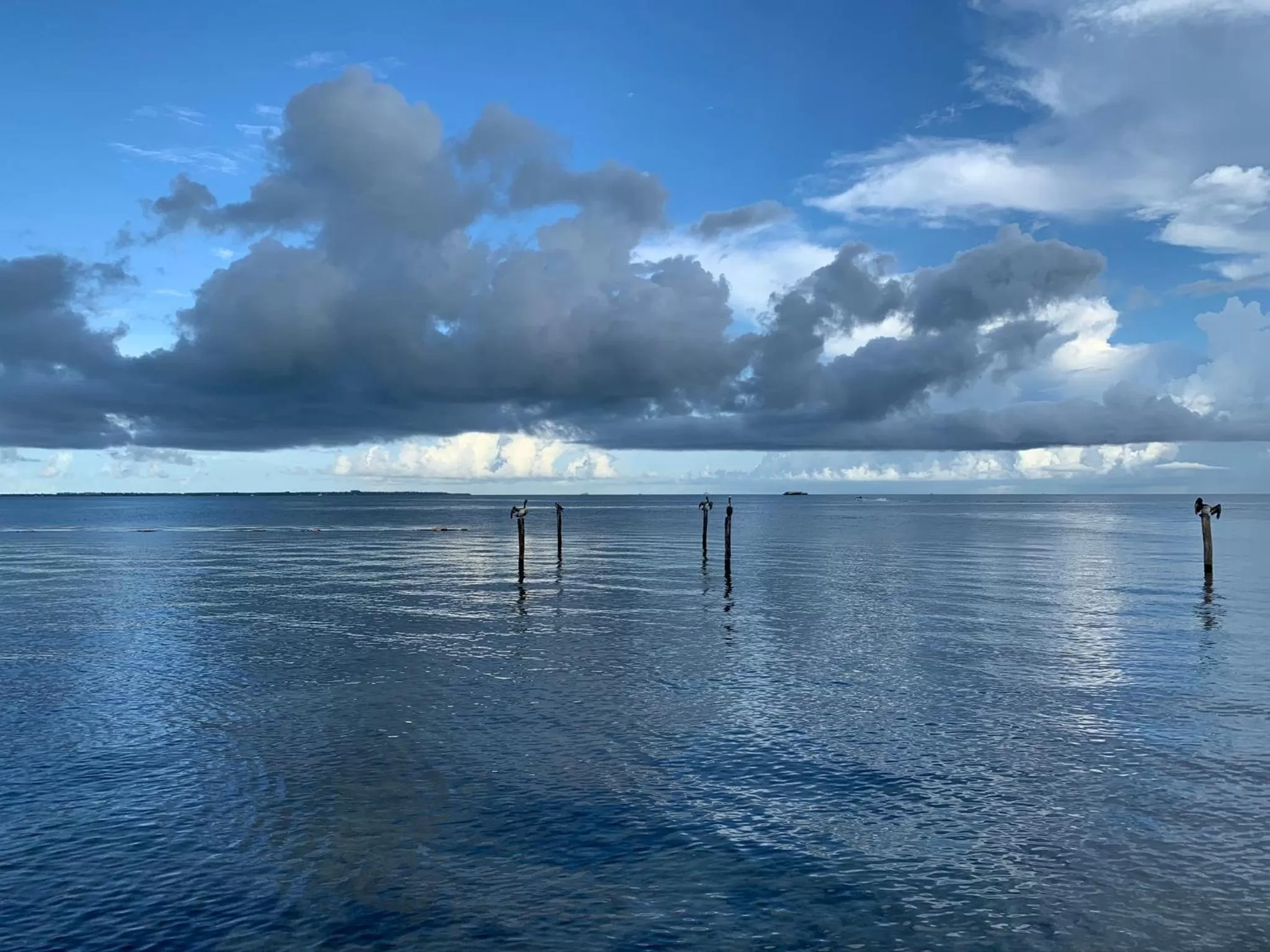 Natural landscape in The Quetzal