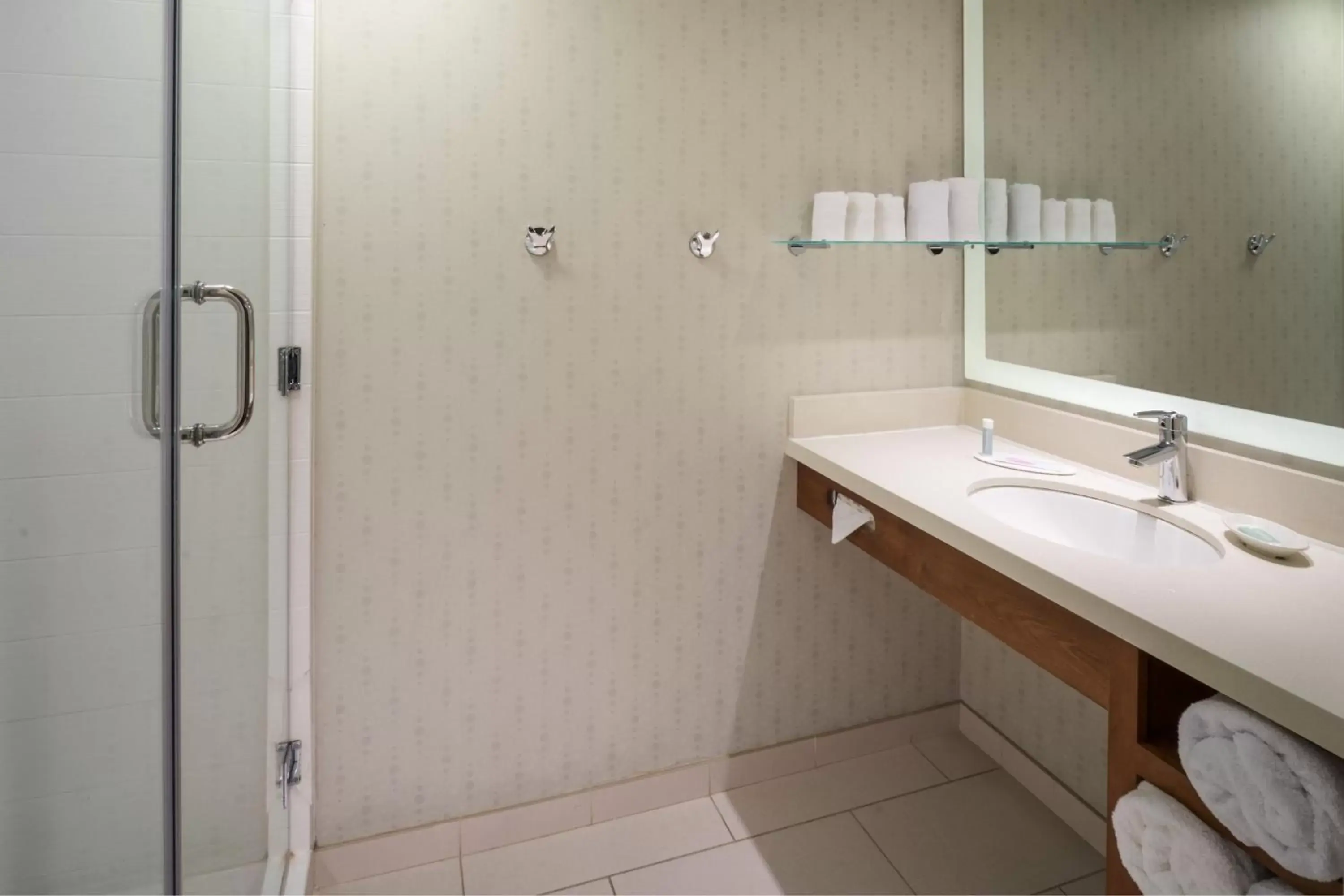 Bathroom in SpringHill Suites by Marriott Philadelphia Airport / Ridley Park