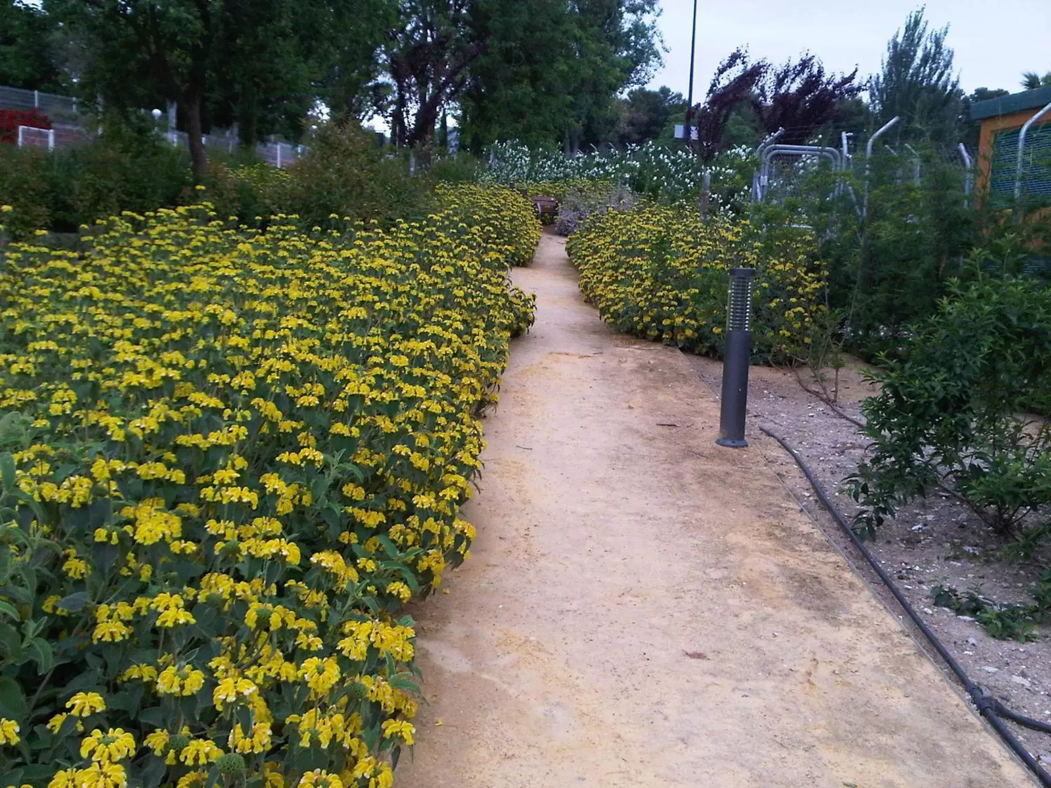 Garden in Parador de Antequera