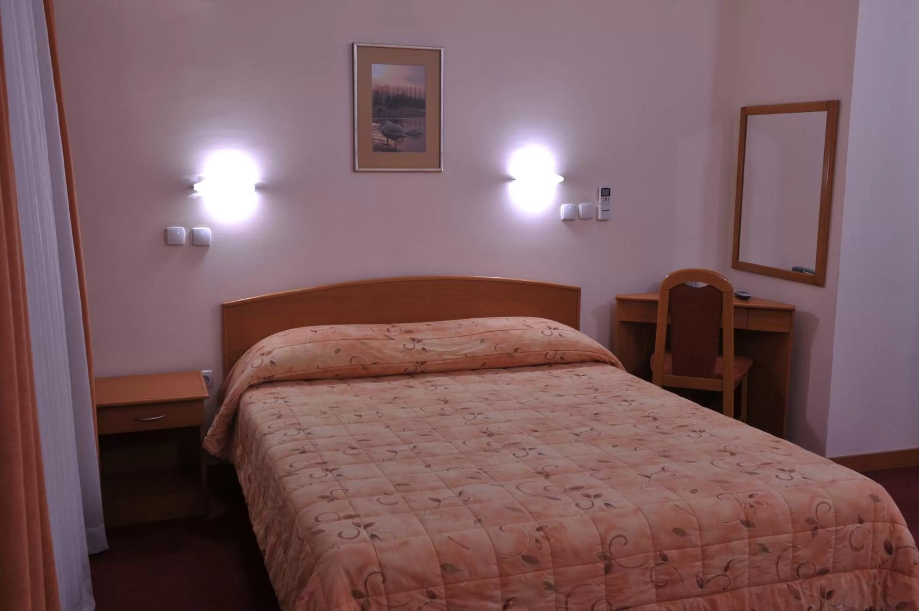 Double Room in Hotel Fontana