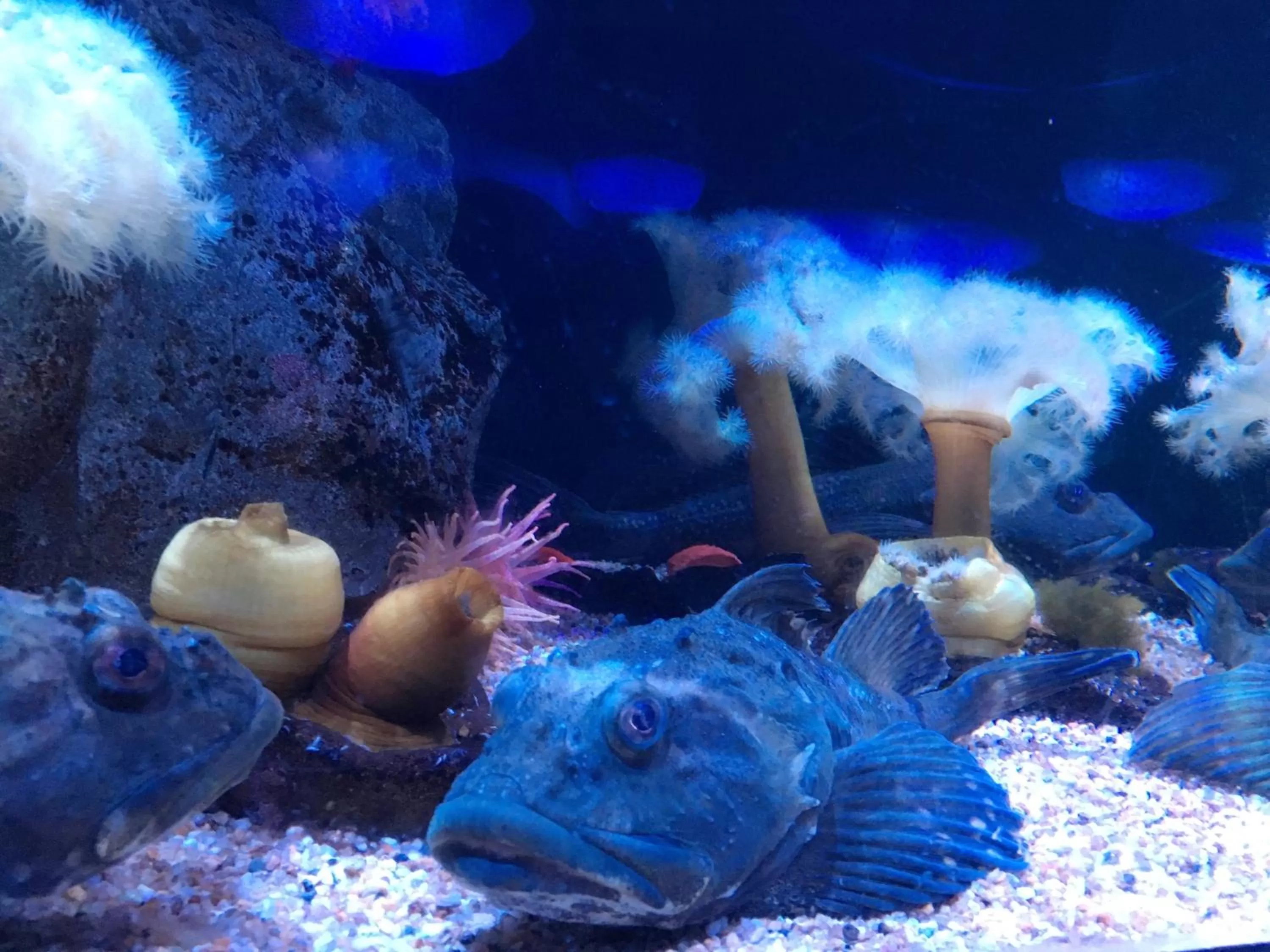 Nearby landmark in Hotel Code Shinsaibashi