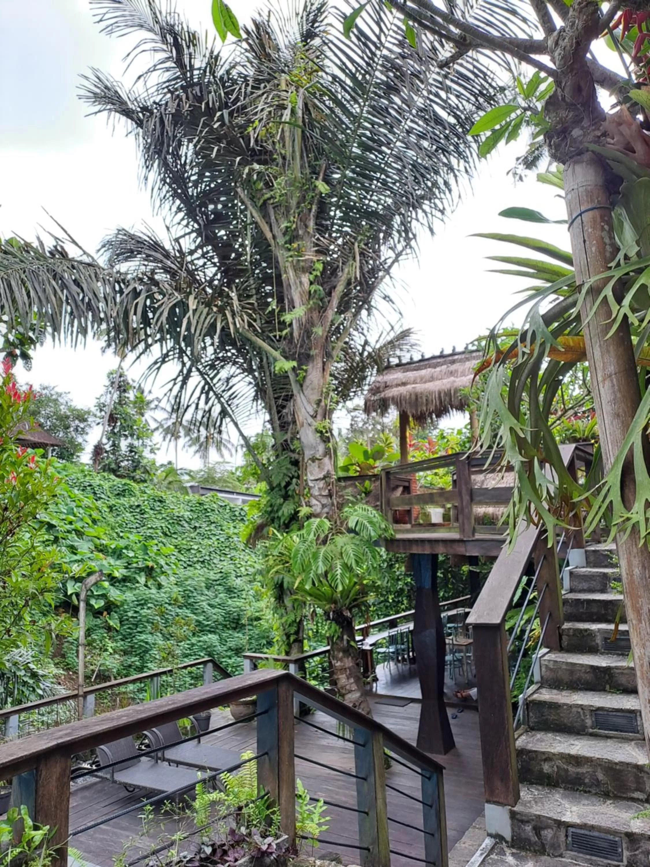 View (from property/room) in Parvati Retreat Villas