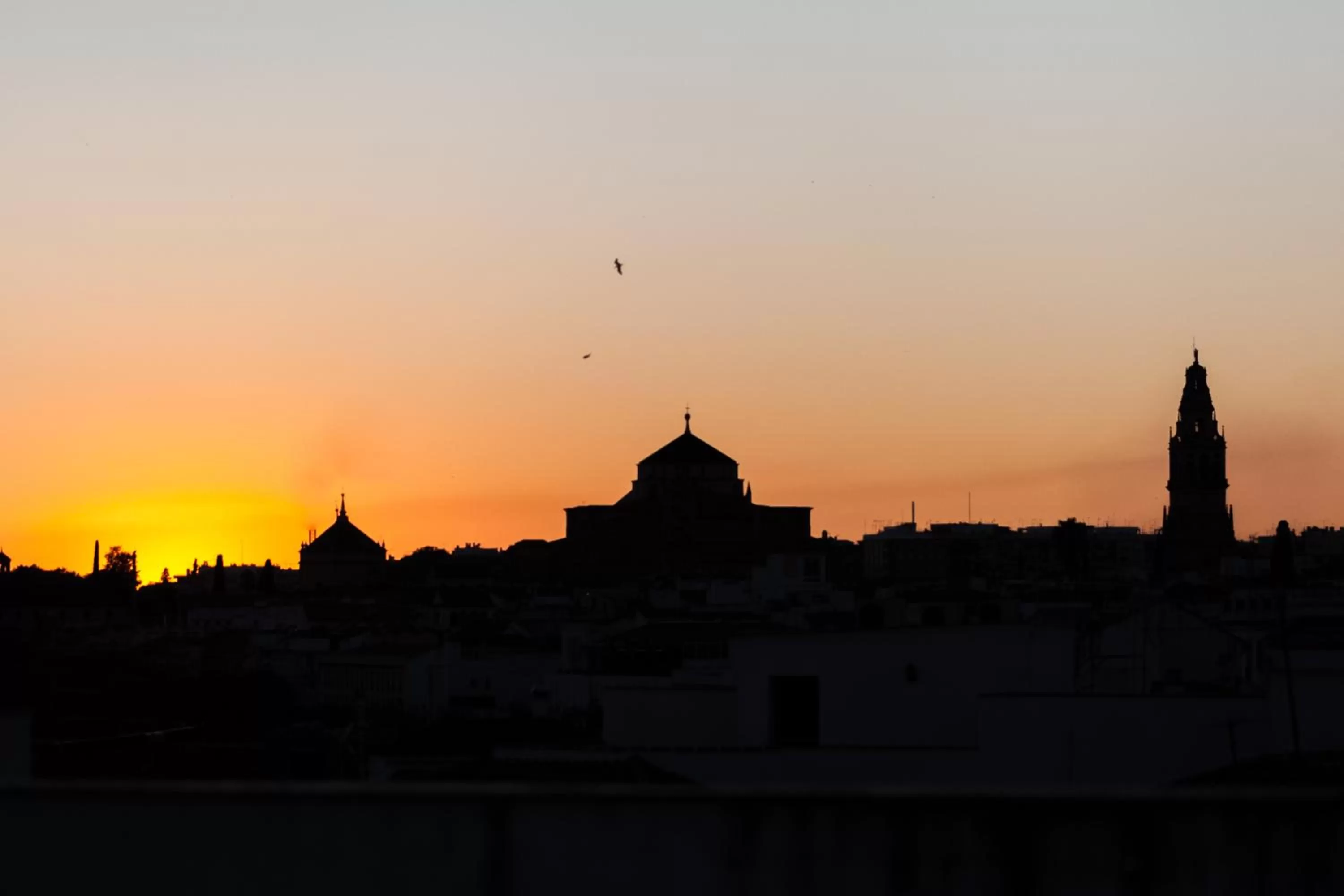 City view in Hotel Viento10