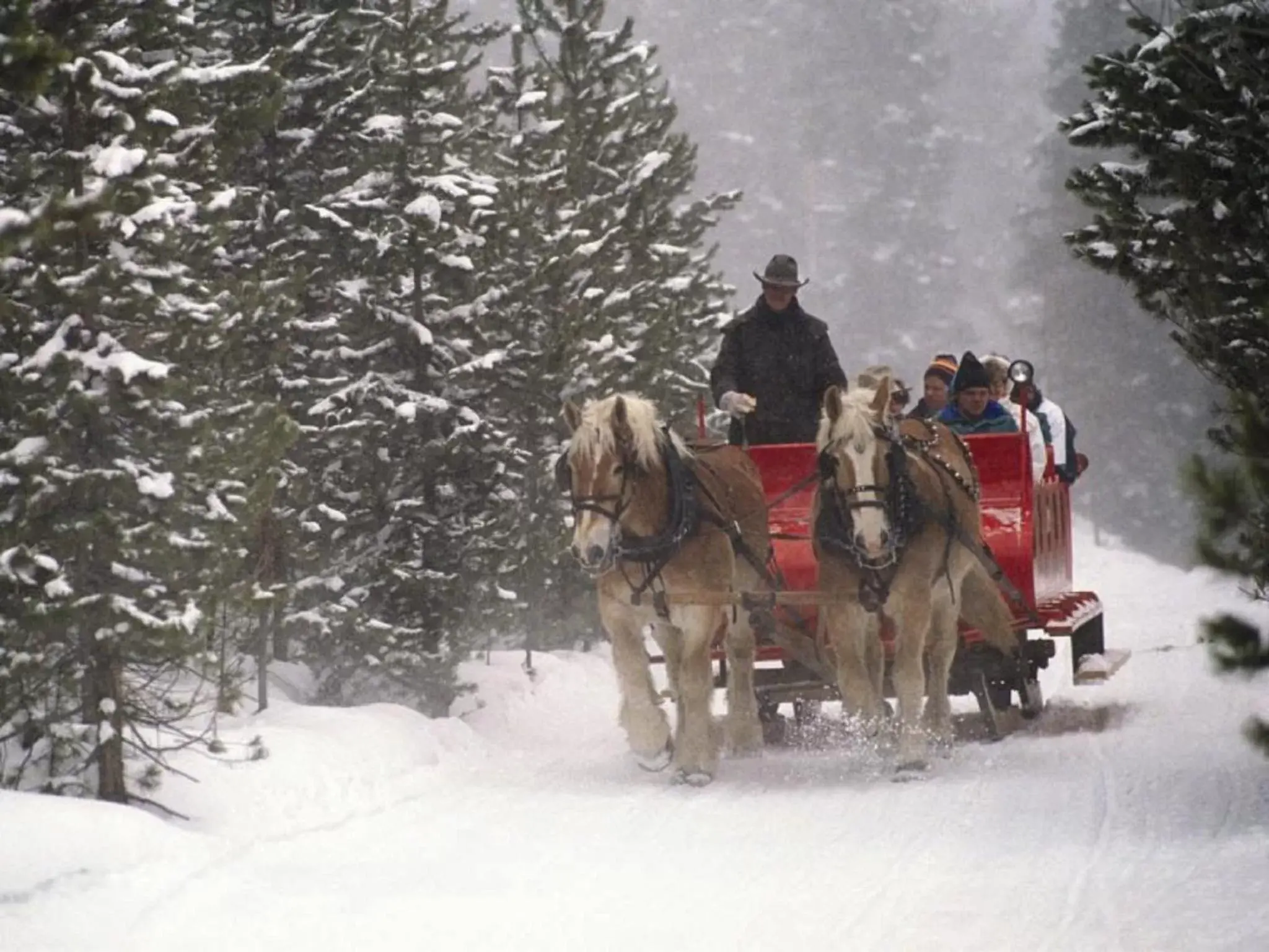 Staff, Horseback Riding in One Ski Hill, A RockResort