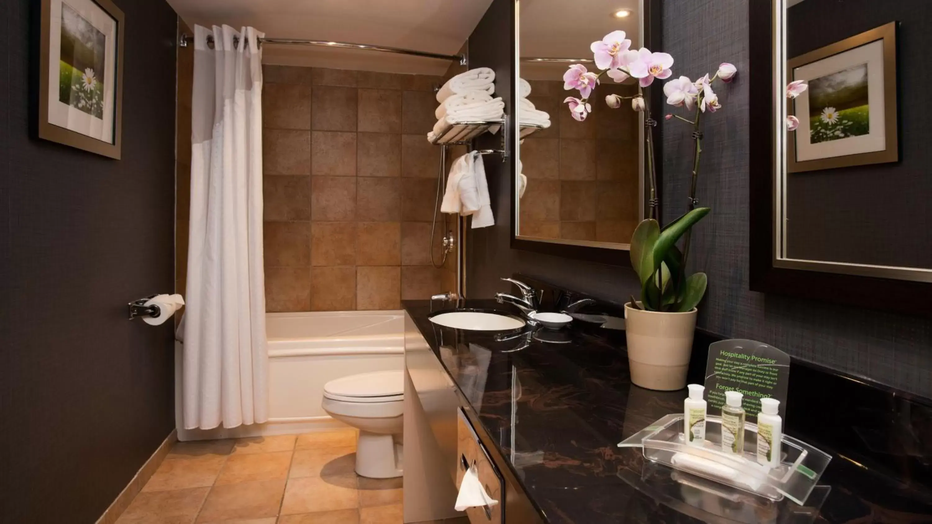 Bathroom in Holiday Inn & Suites Mississauga West - Meadowvale, an IHG Hotel
