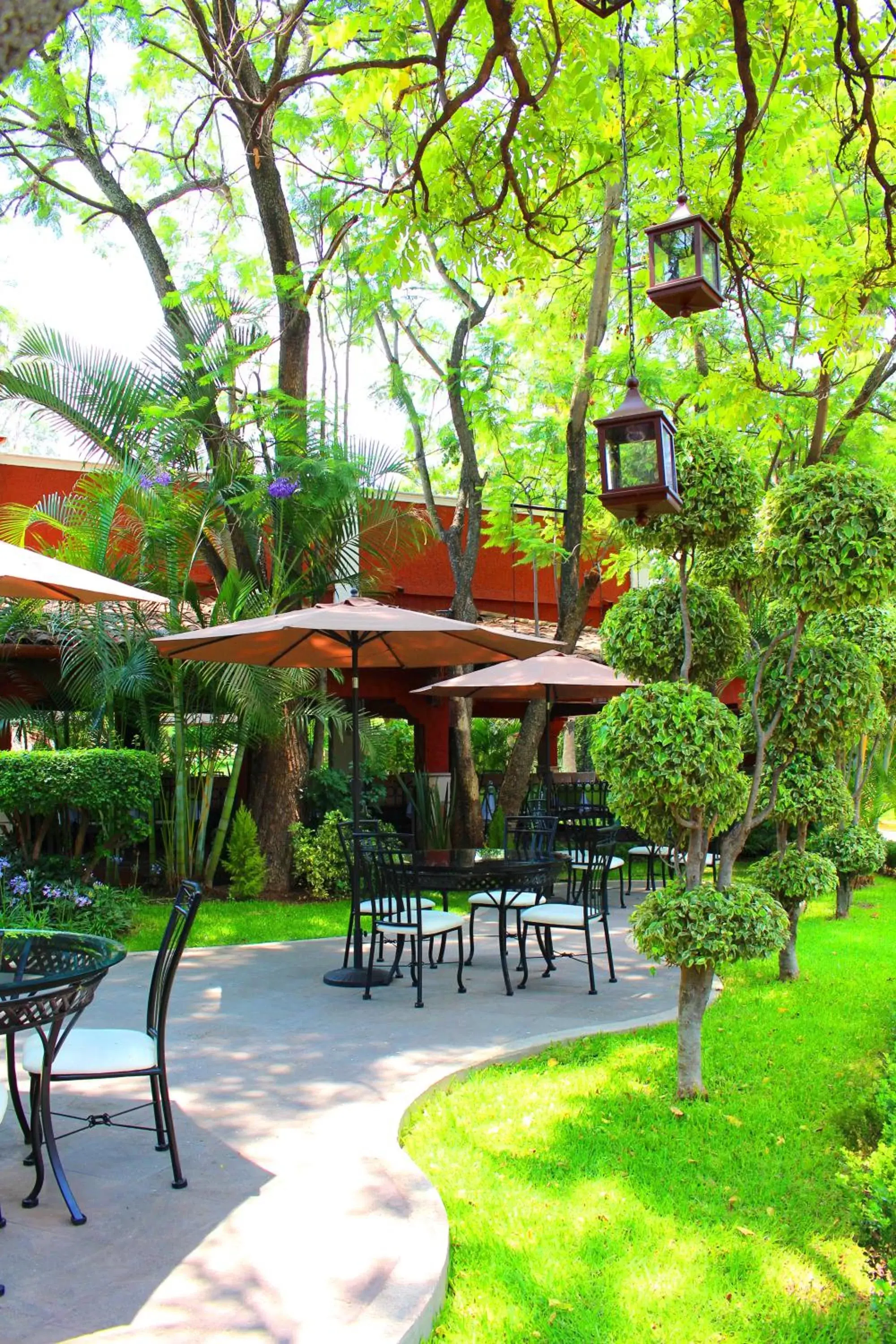Restaurant/places to eat, Patio/Outdoor Area in Meson del Valle