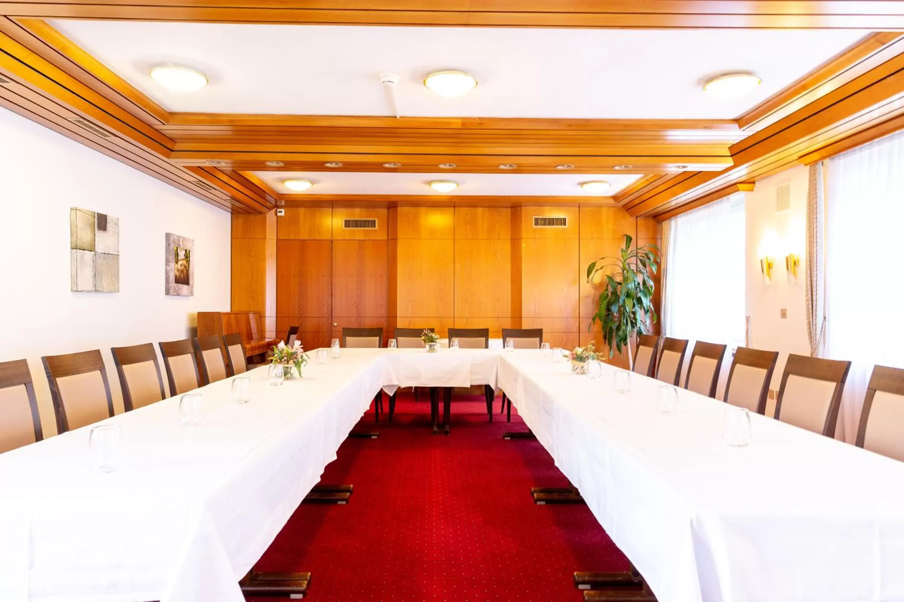 Meeting/conference room in Hotel Alfa