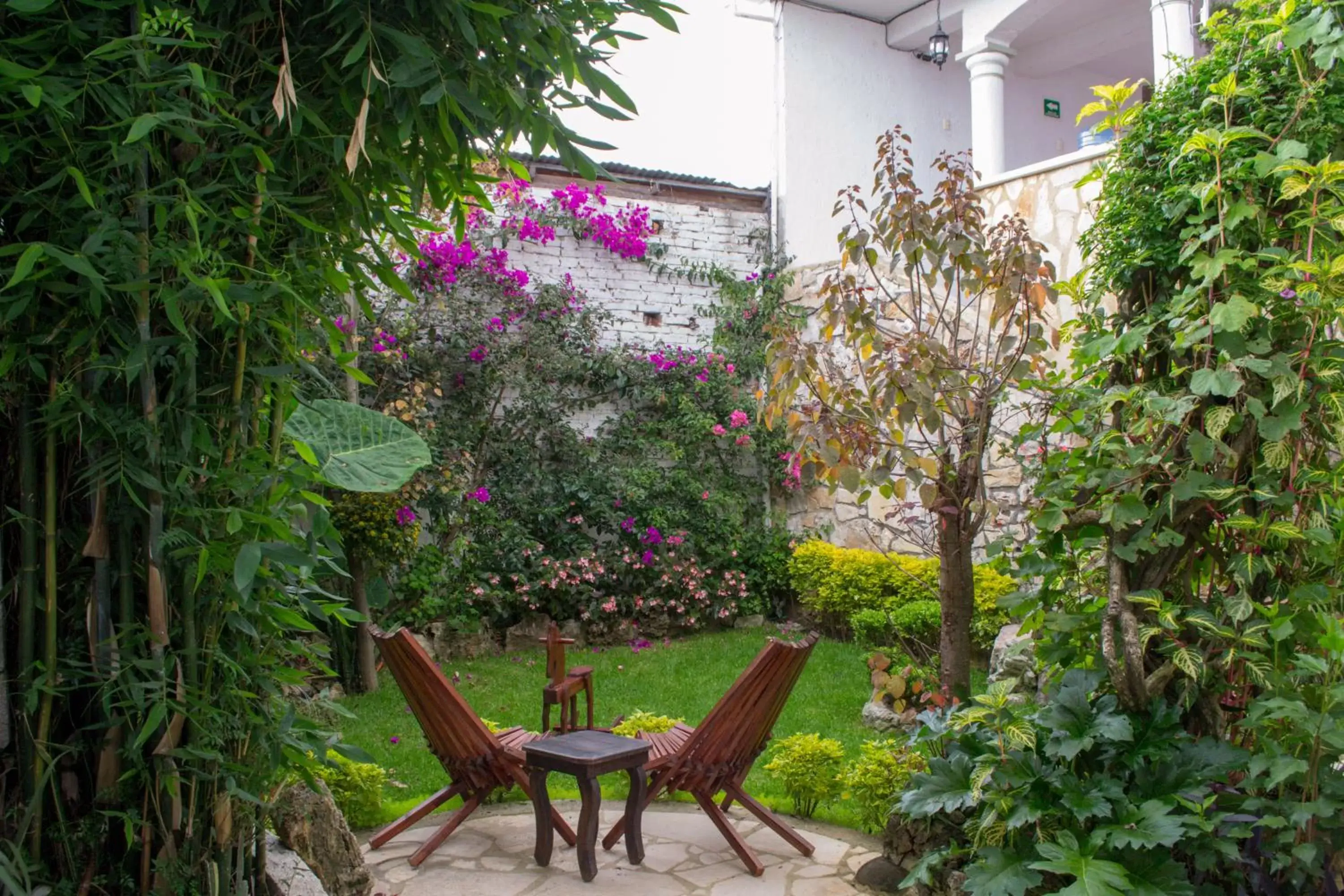 Patio, Garden in Arte Sano Hotel San Cristobal