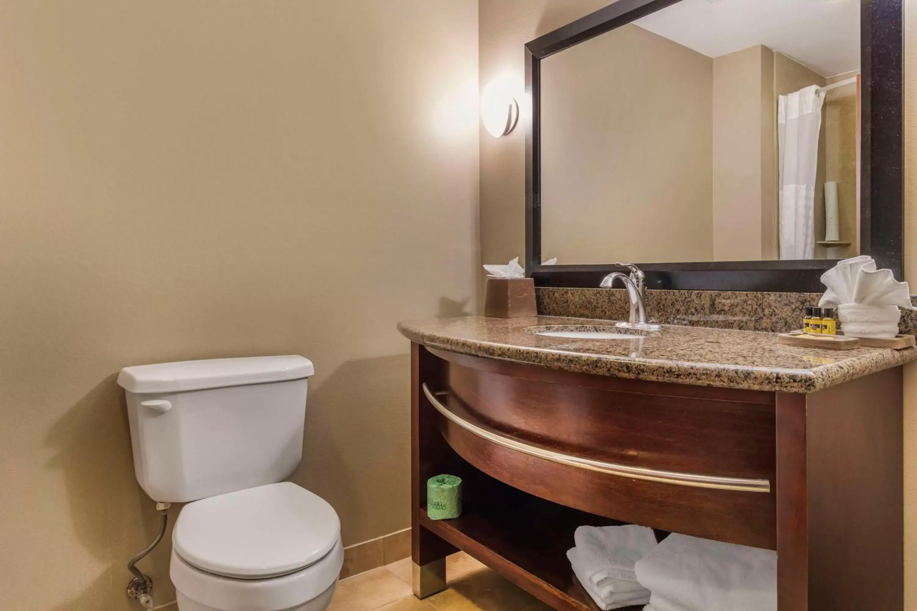 Bathroom in Best Western Plus Hotel and Suites Denison