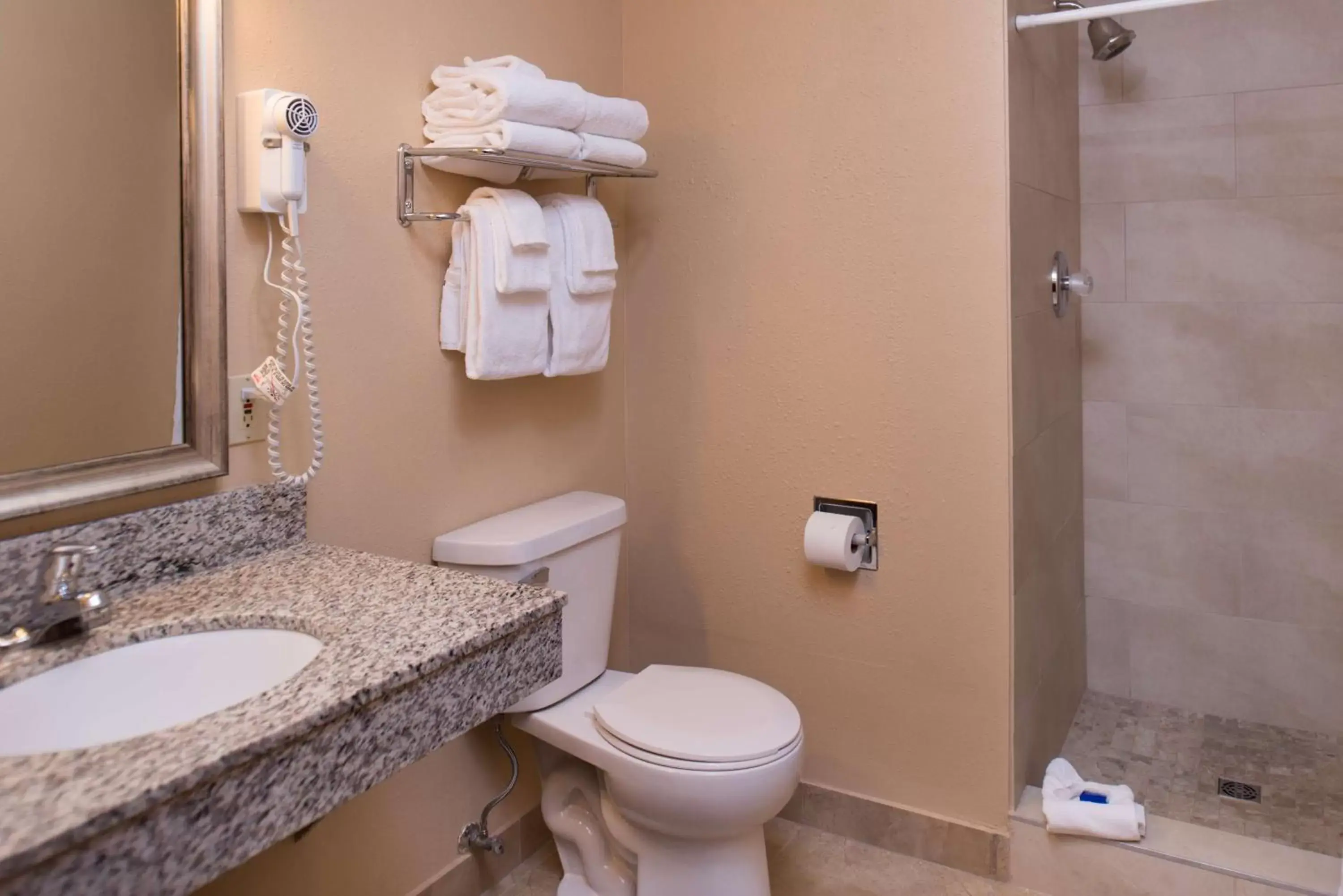 Bathroom in Best Western Ambassador Inn & Suites