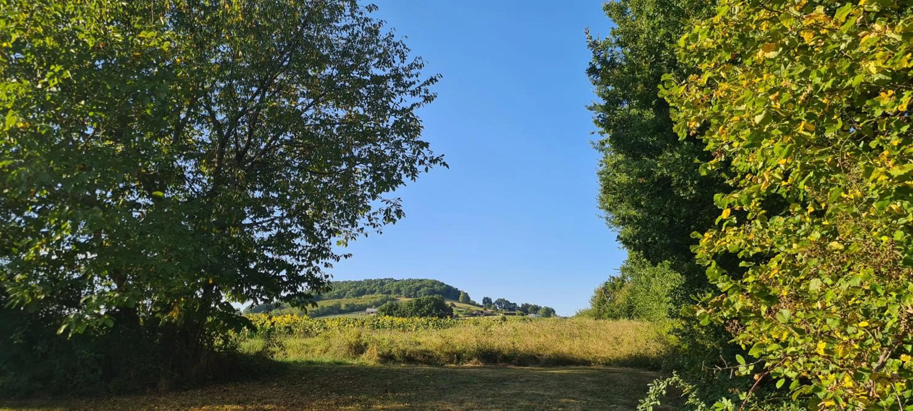 Natural landscape in Le Coq en Repos